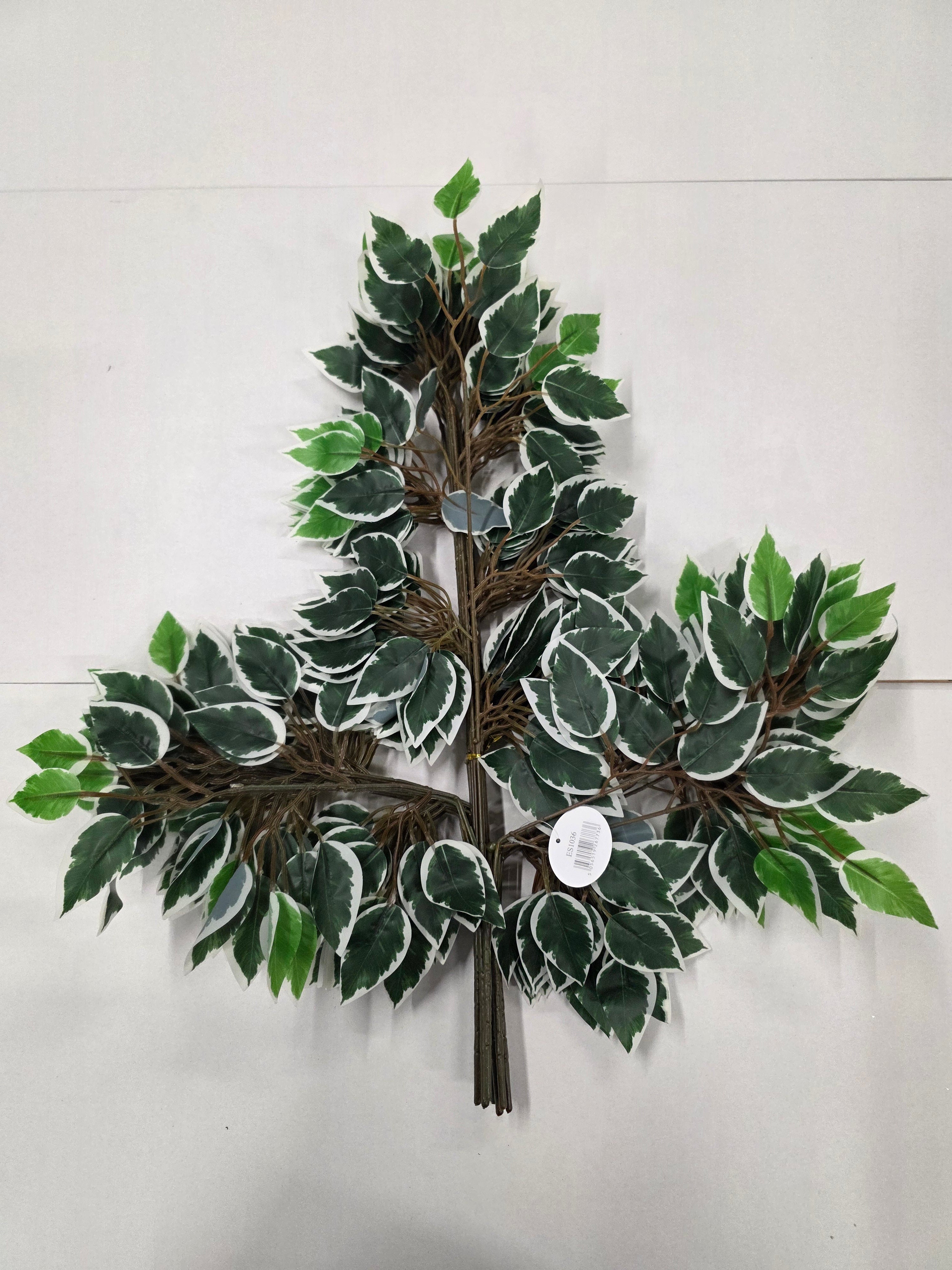 Artifical Essential Ficus Variagated X12