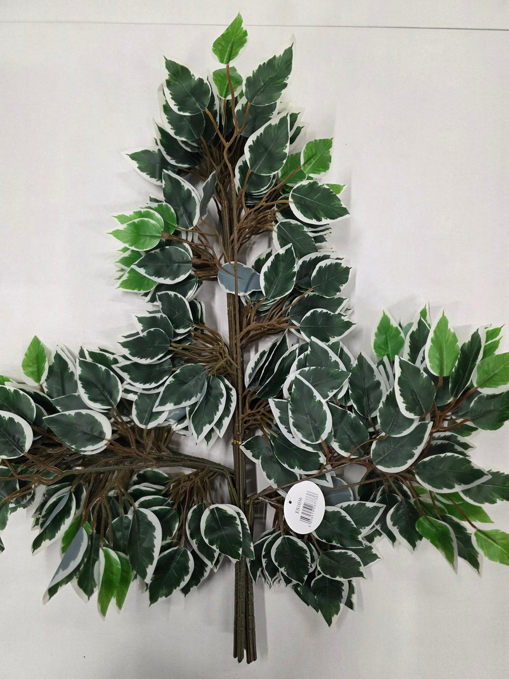 Artifical Essential Ficus Variagated X12