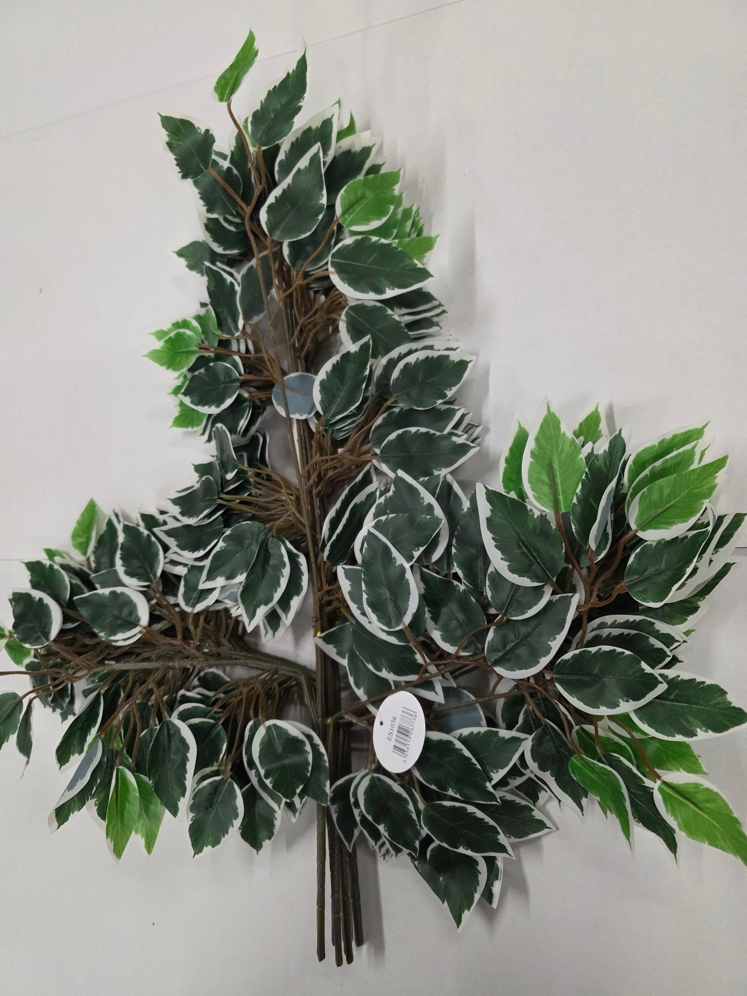 Artifical Essential Ficus Variagated X12