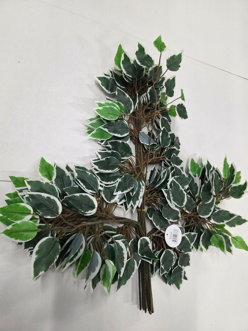 Artifical Essential Ficus Variagated X12