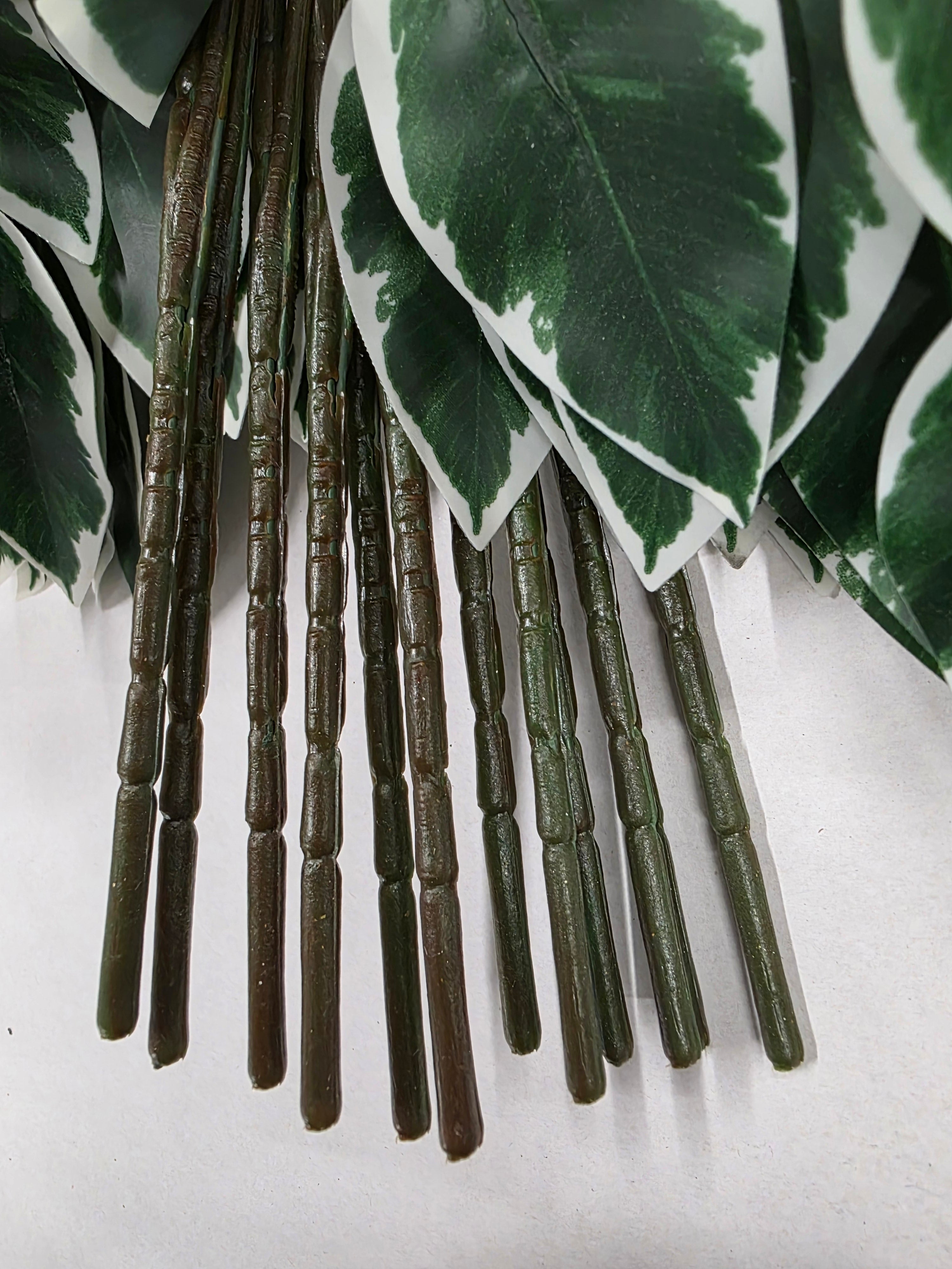 Artifical Essential Ficus Variagated X12