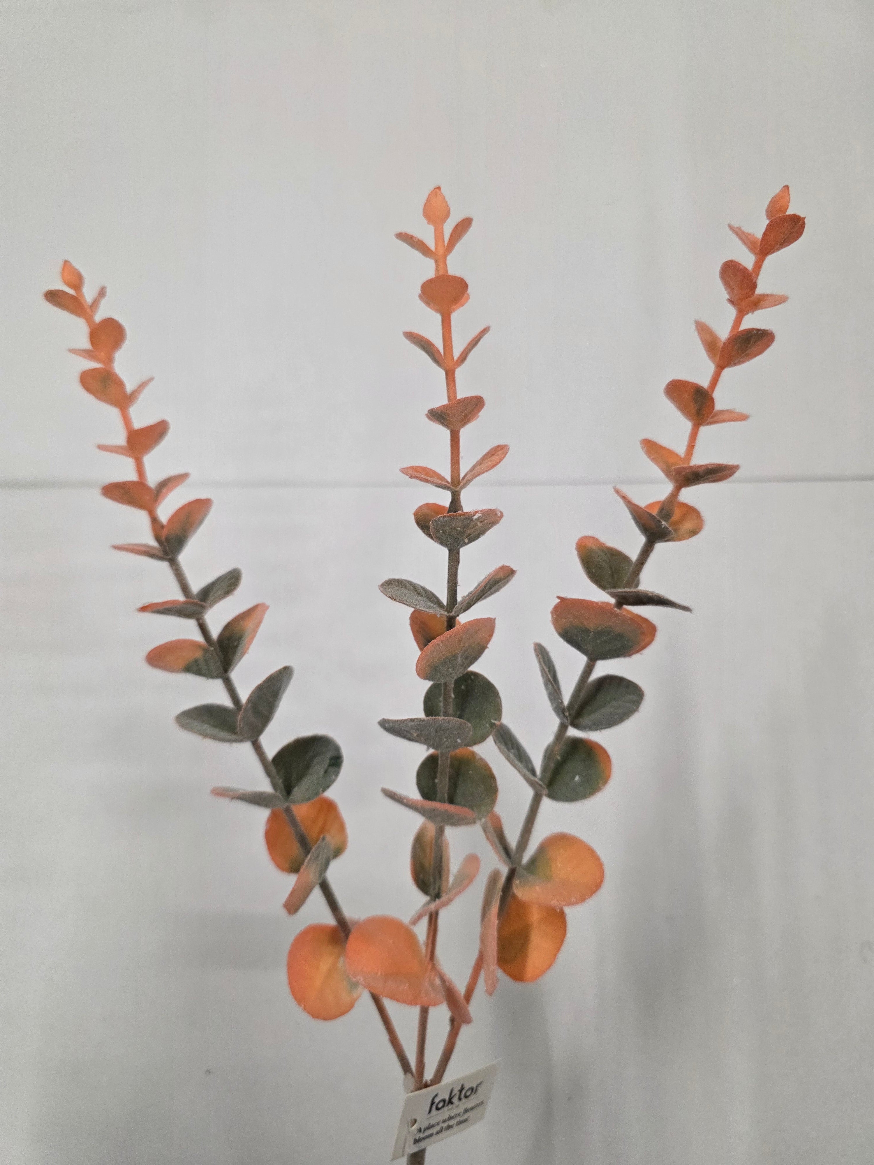 Artifical Eucalyptus Orange Green 55cm (PACK OF 4)