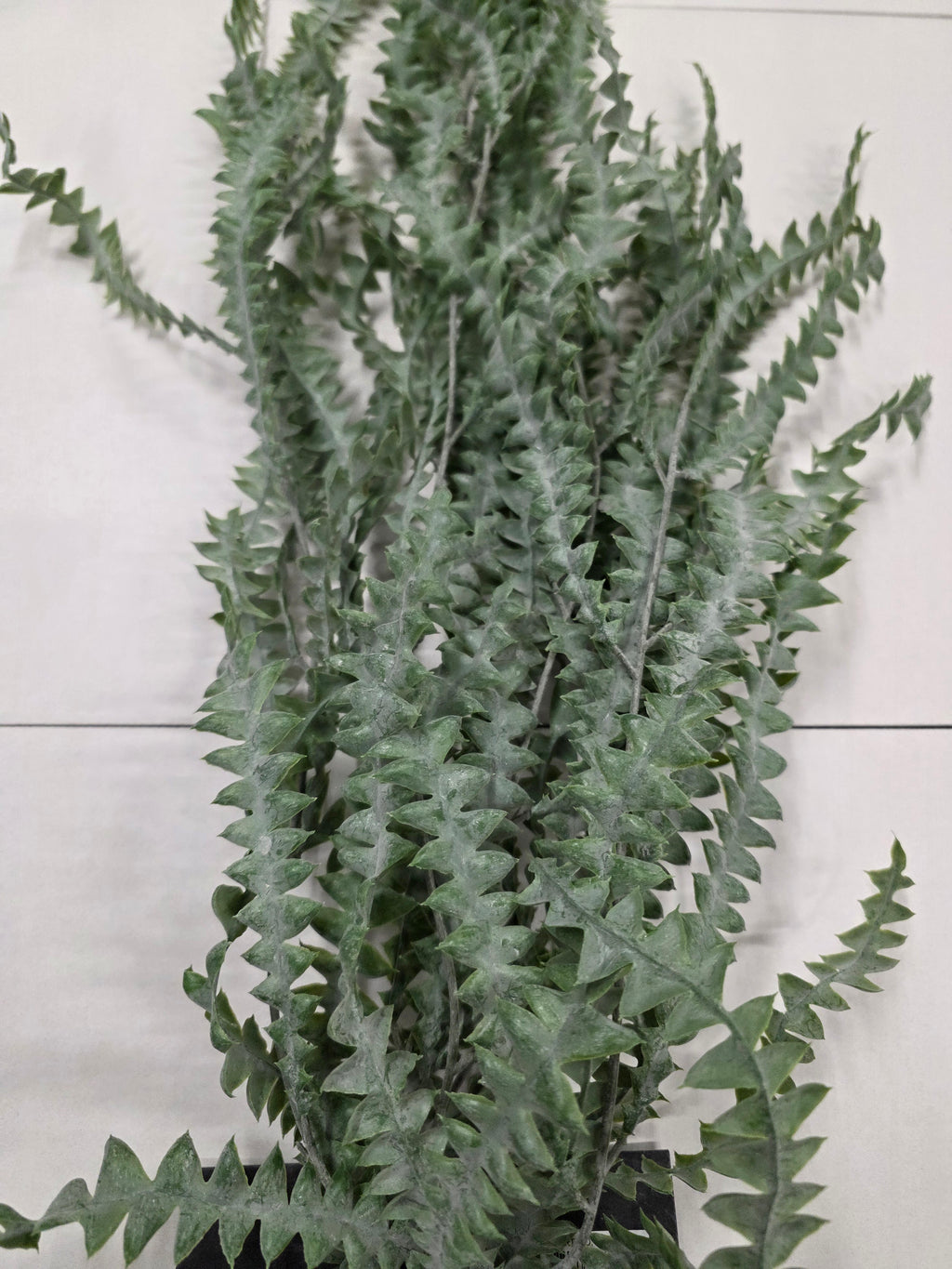 Artifical Fern Hanging Green