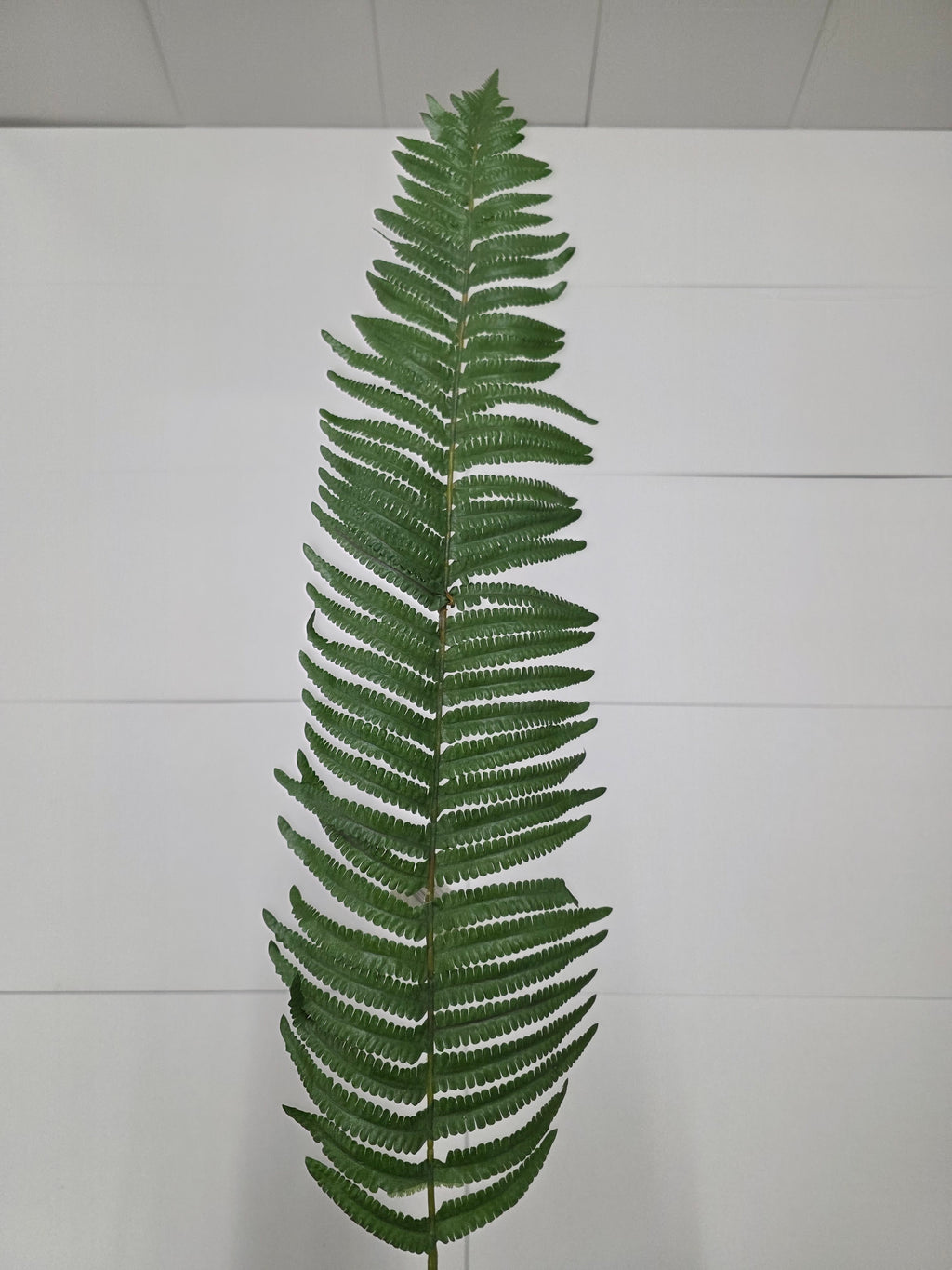 Artifical Fern Leaf (PACK OF 2)