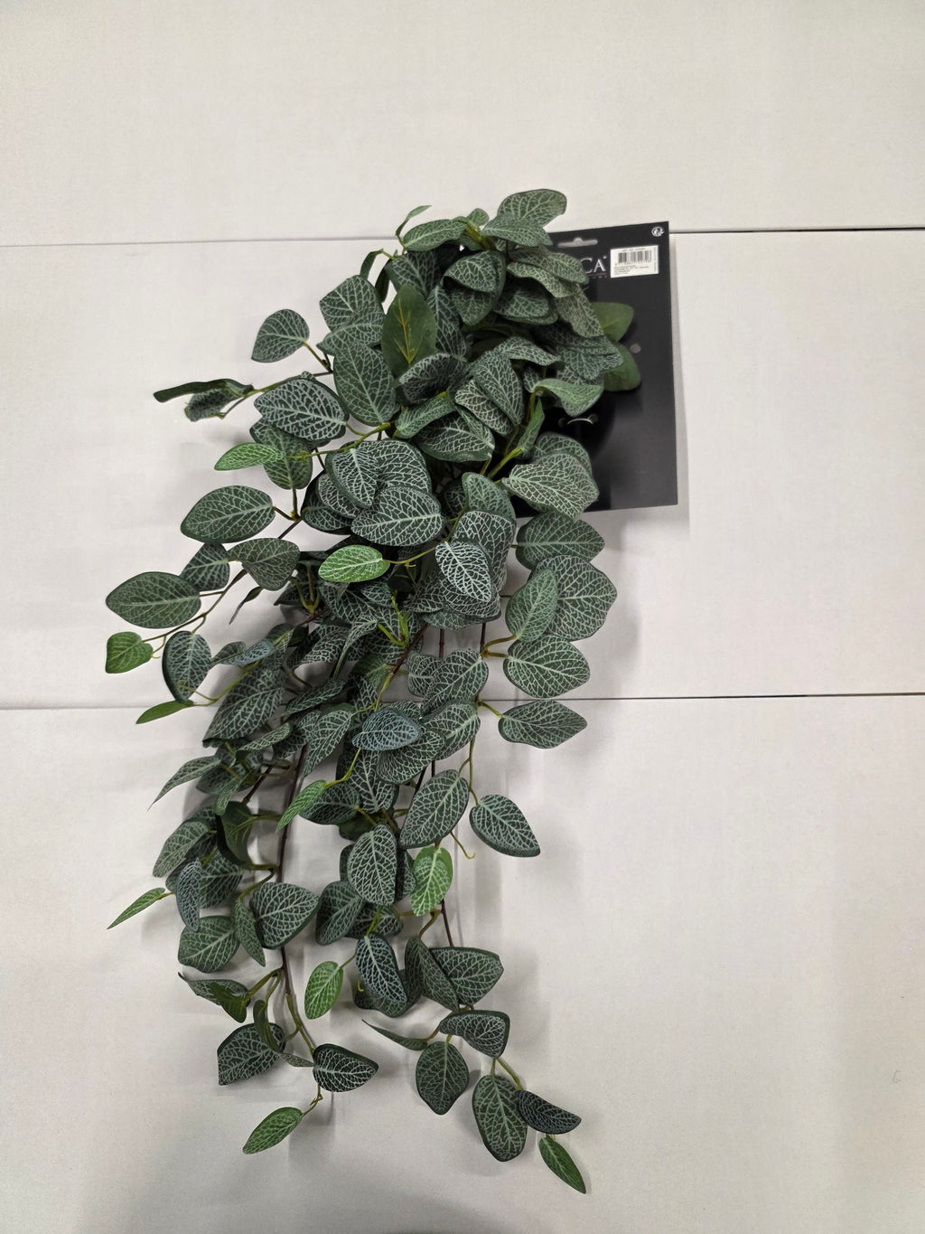 Artifical Fittonia Hanging Green