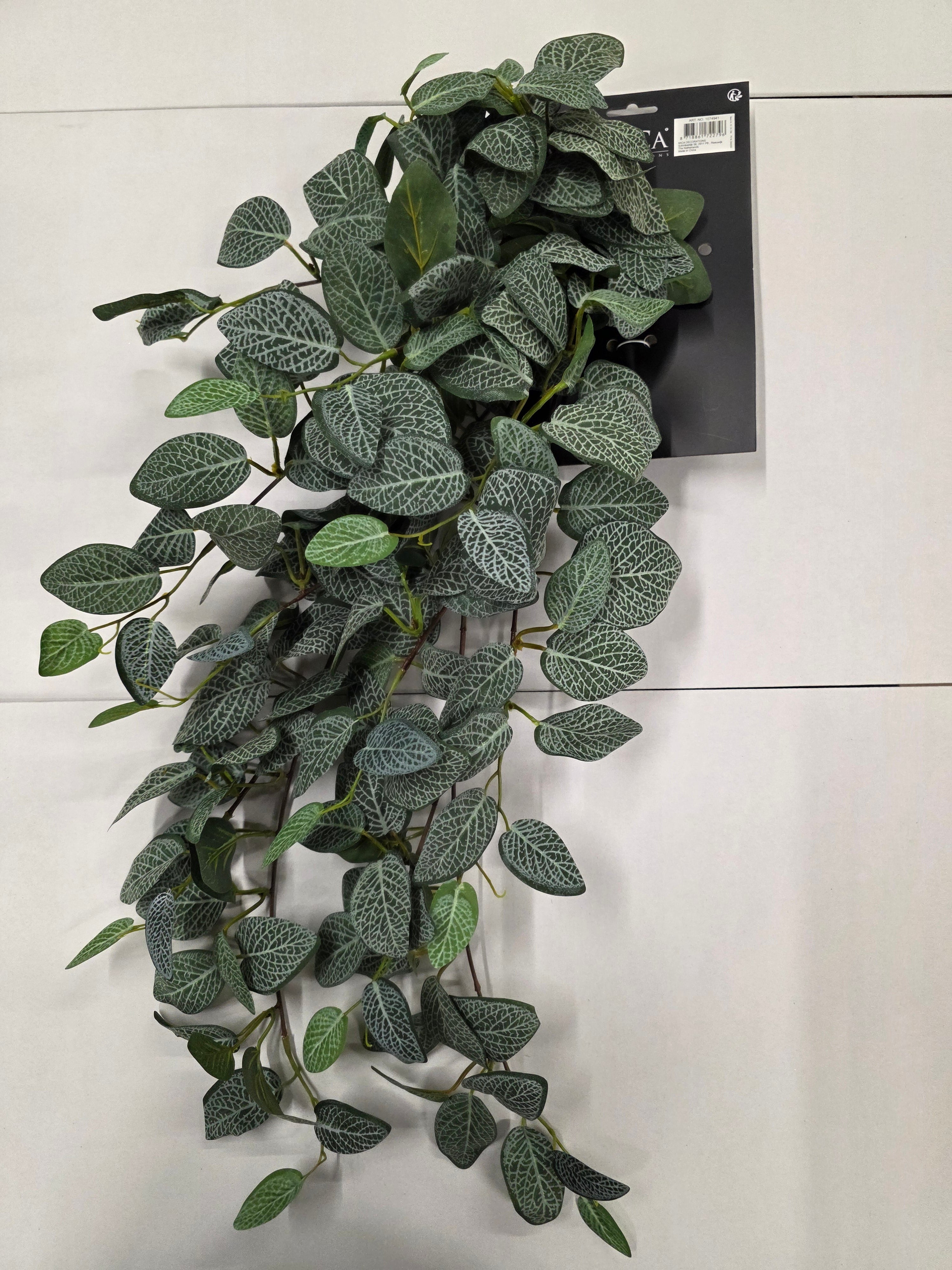 Artifical Fittonia Hanging Green