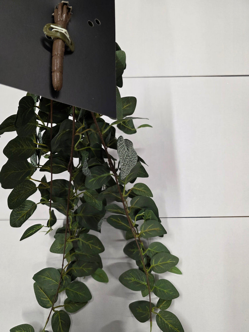 Artifical Fittonia Hanging Green