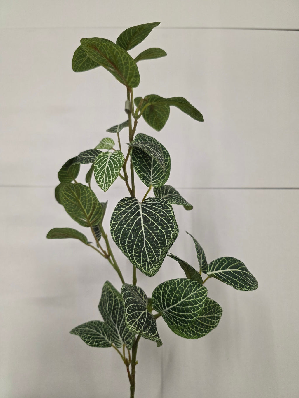 Artifical Fittonia Spray (PACK OF 2)