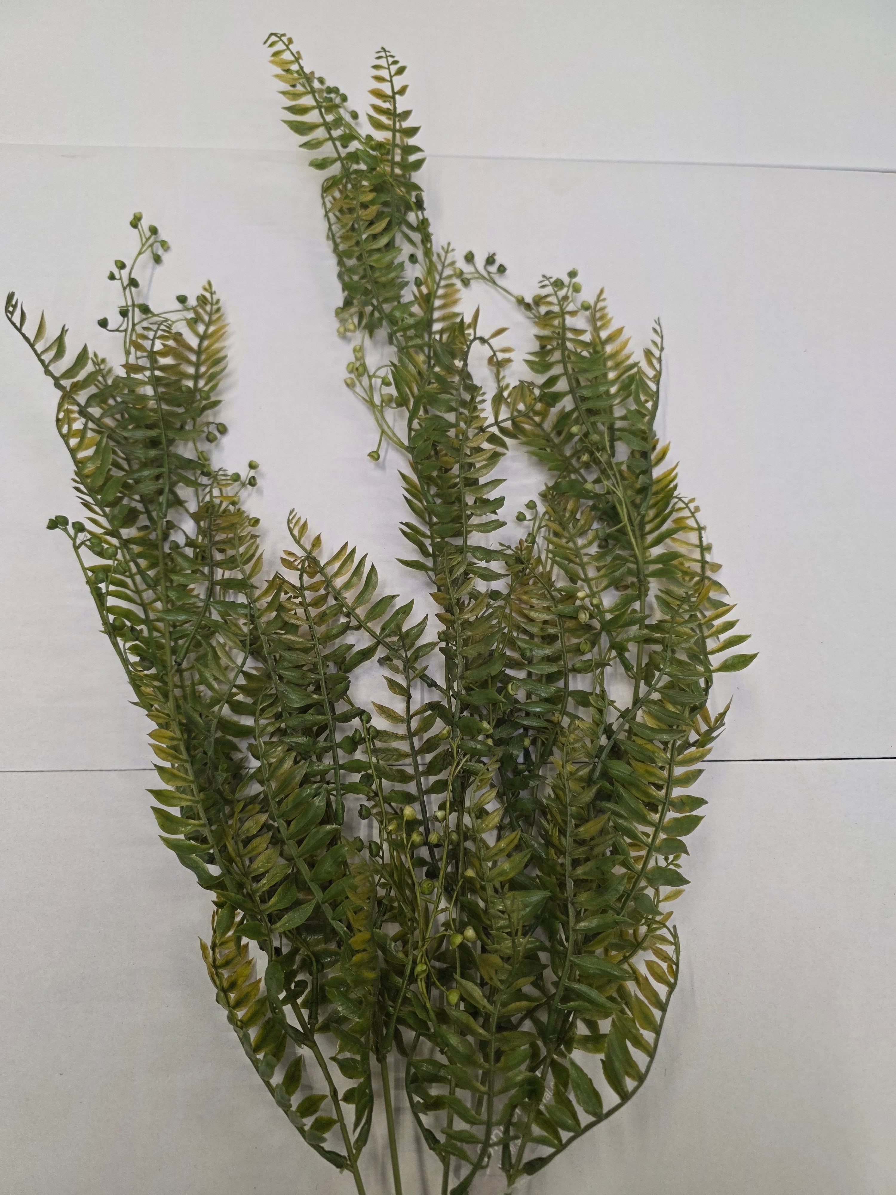 Artificial Hanging Fern Trail