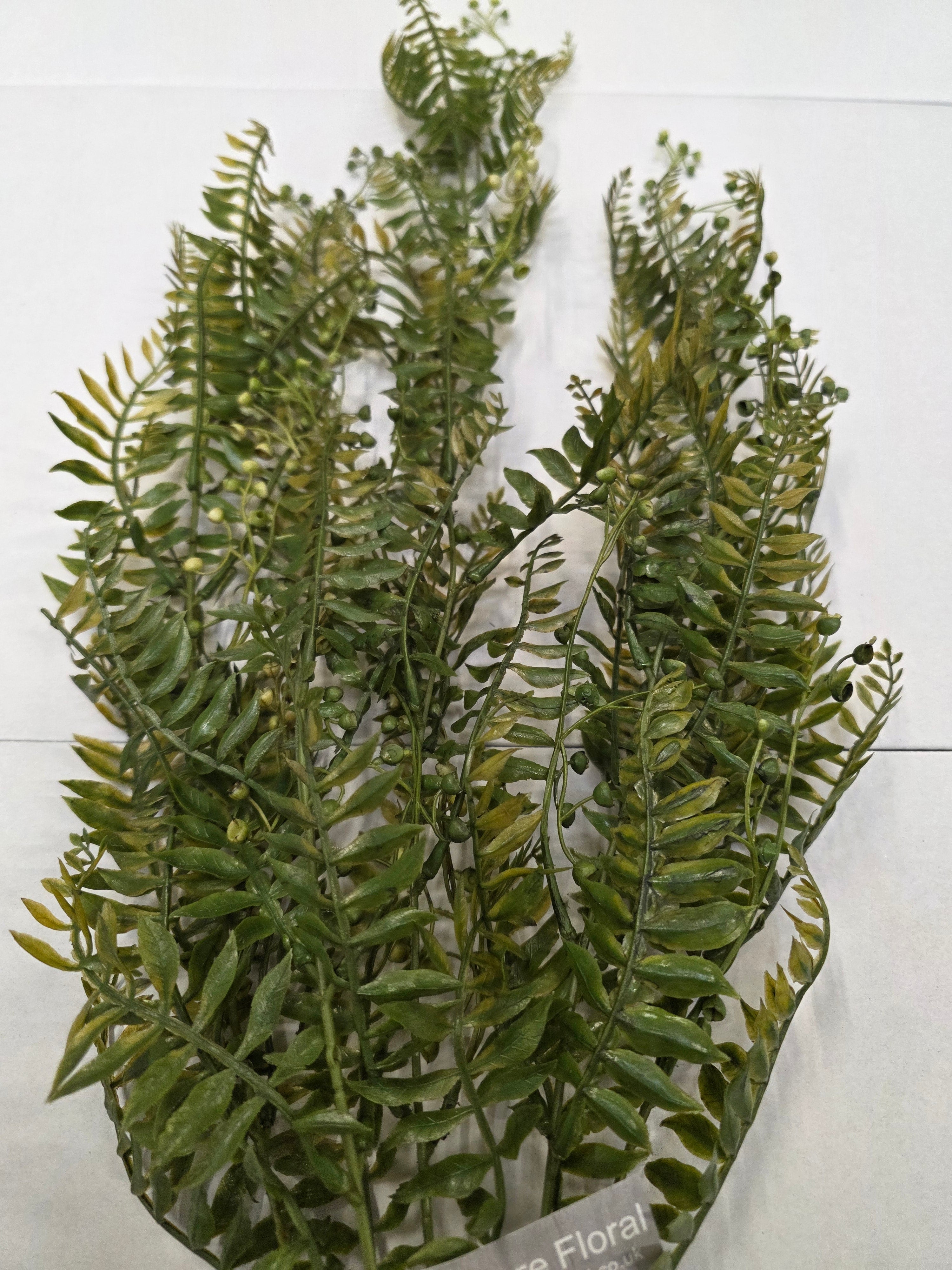 Artificial Hanging Fern Trail