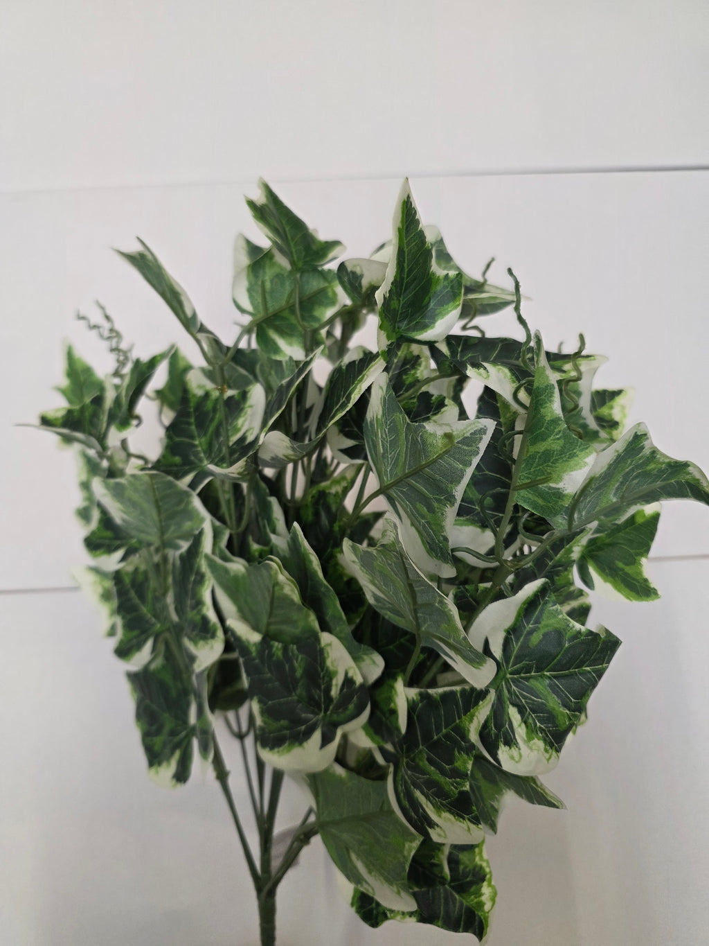 Artificial Ivy Bush Varigated Leaf