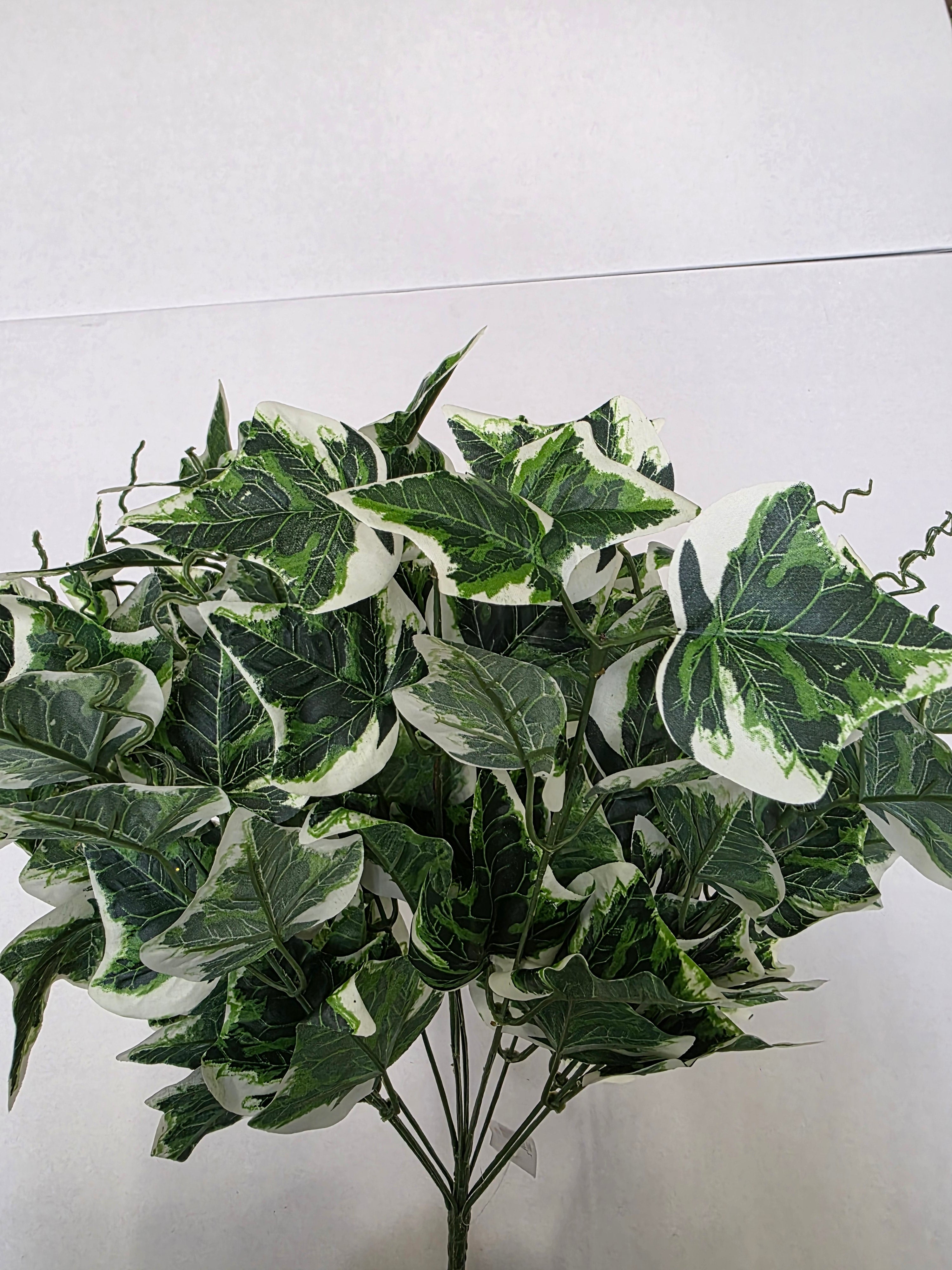 Artificial Ivy Bush Varigated Leaf
