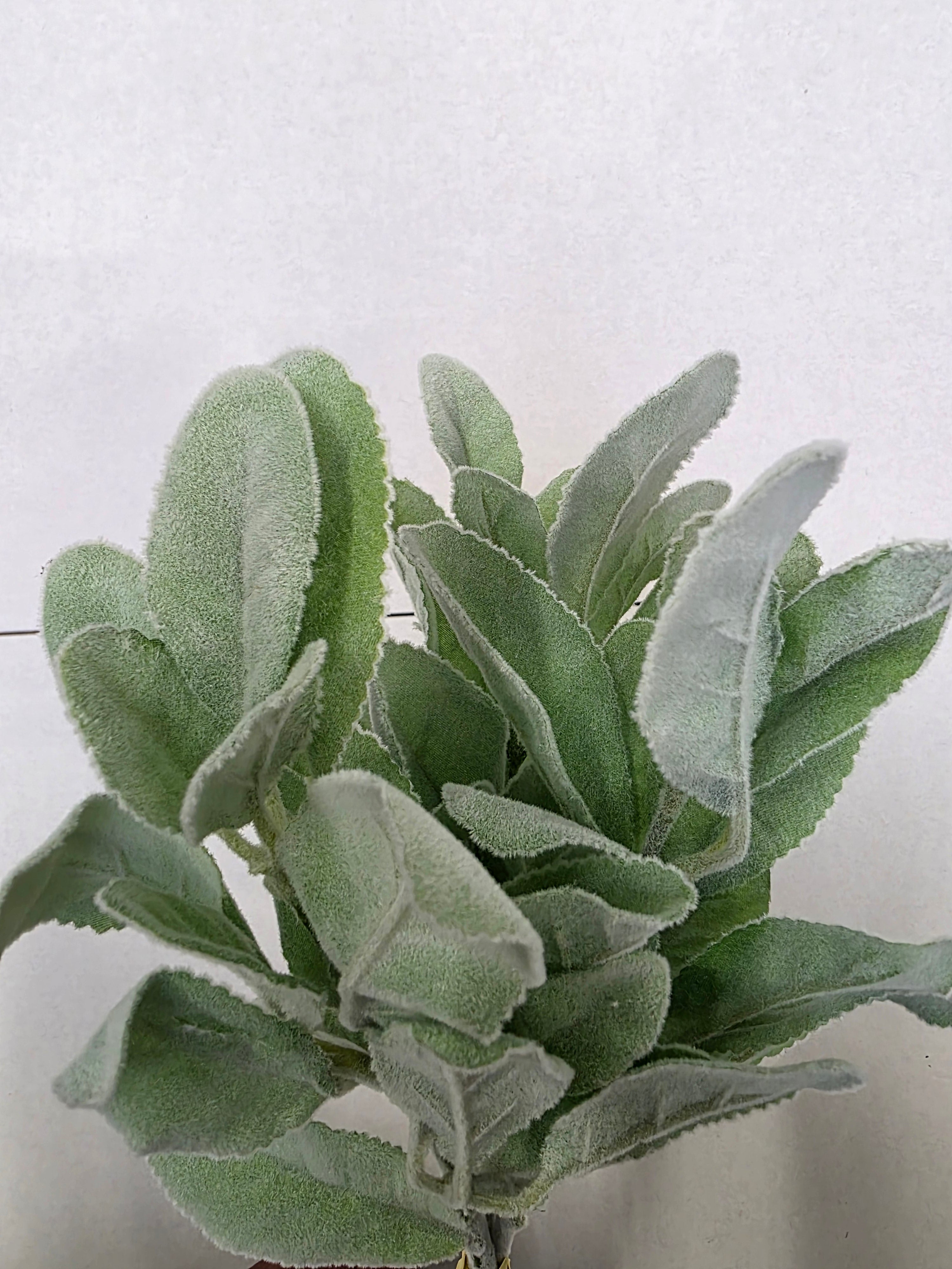 Artificial Lambs Ear