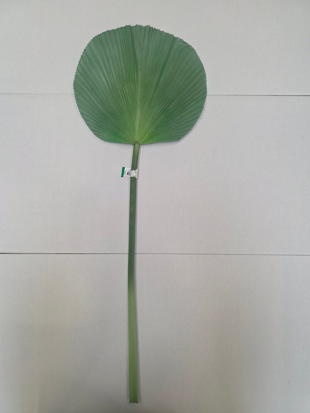 Artificial Licuala Palm Green Grey