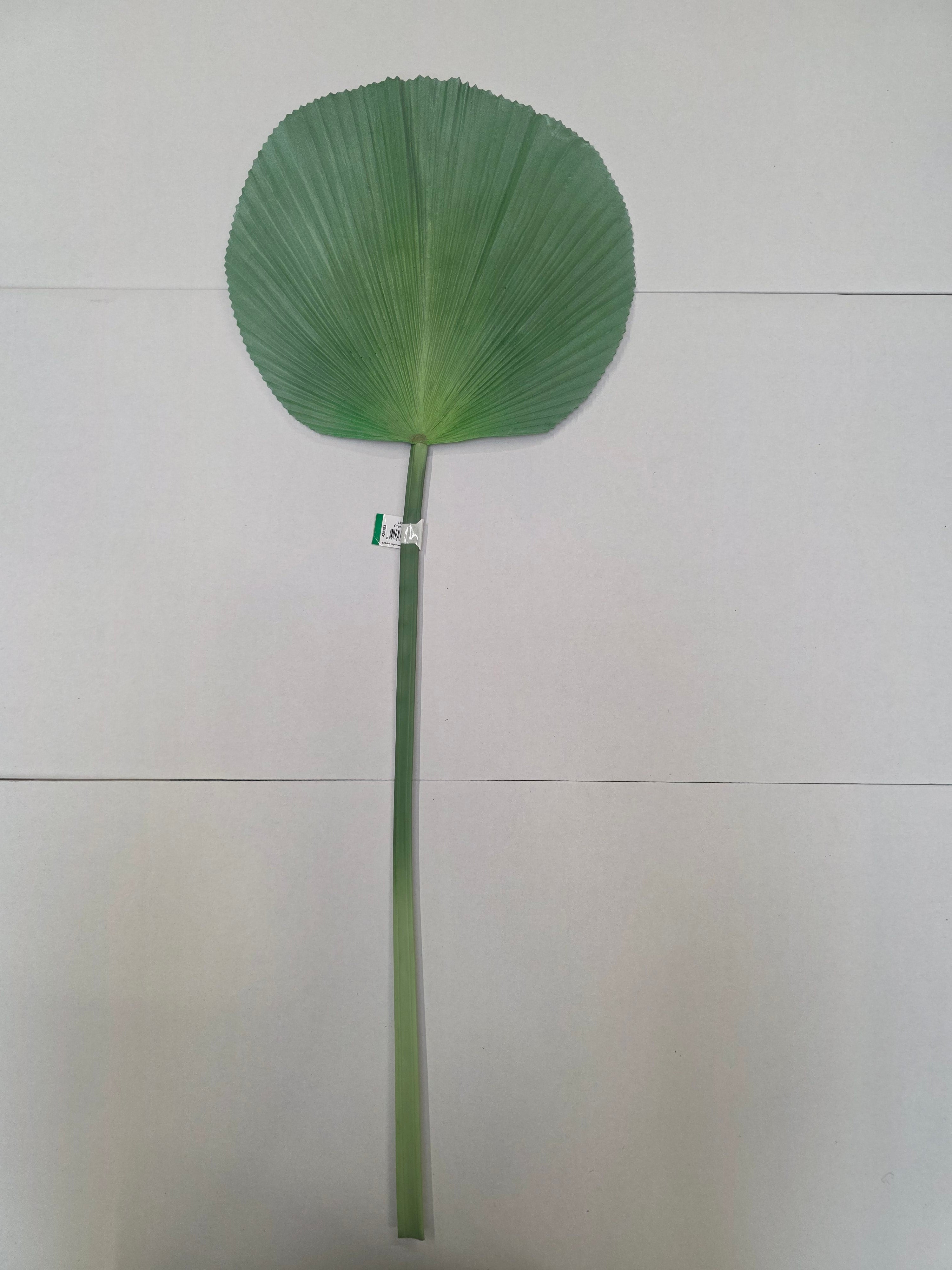 Artificial Licuala Palm Green Grey