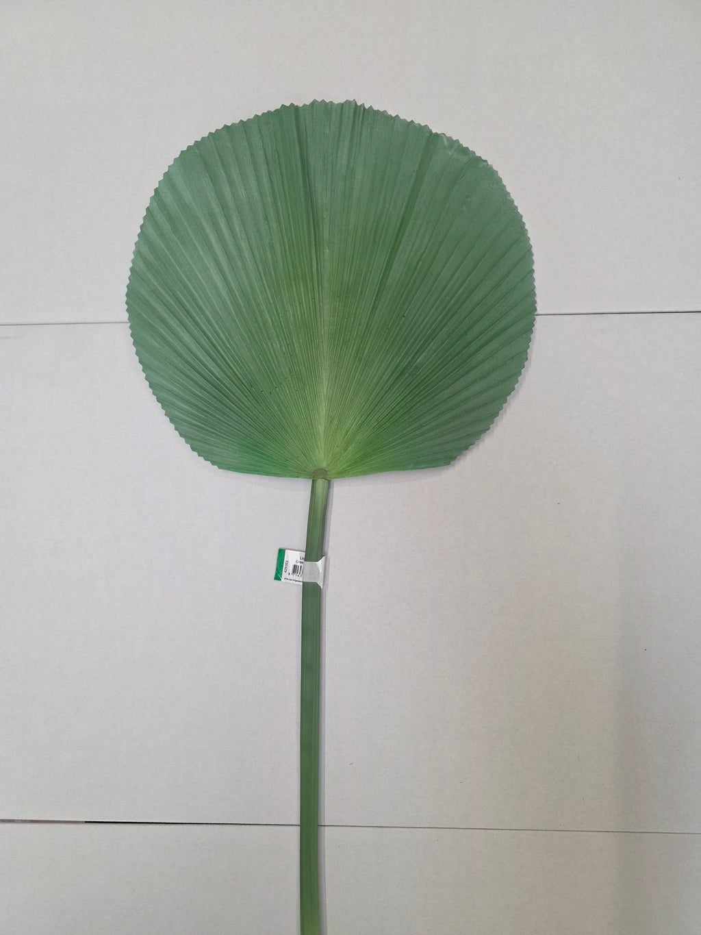 Artificial Licuala Palm Green Grey