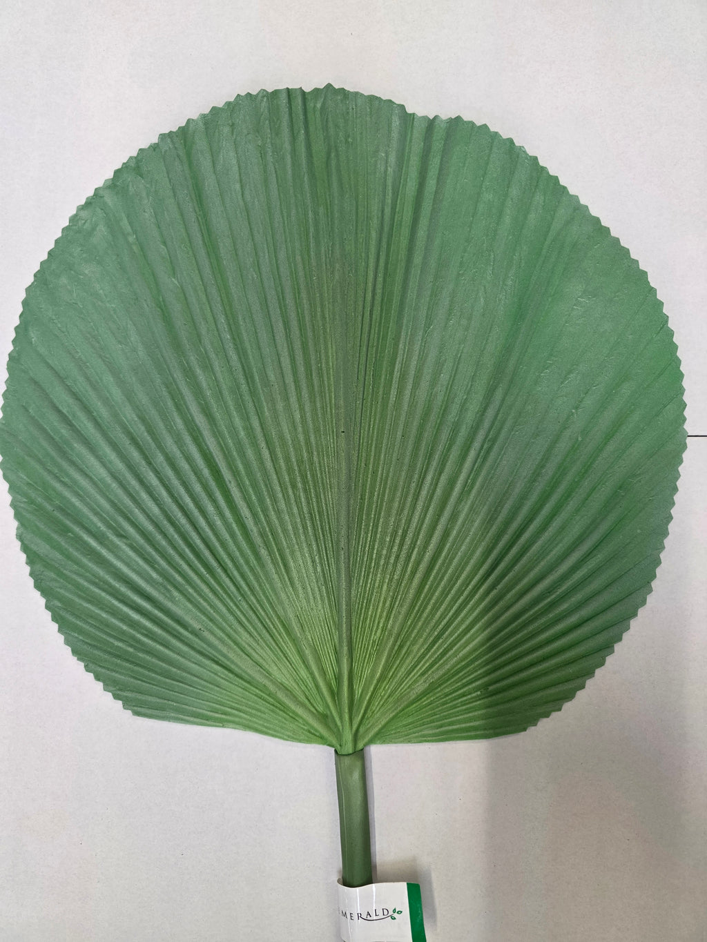 Artificial Licuala Palm Green Grey
