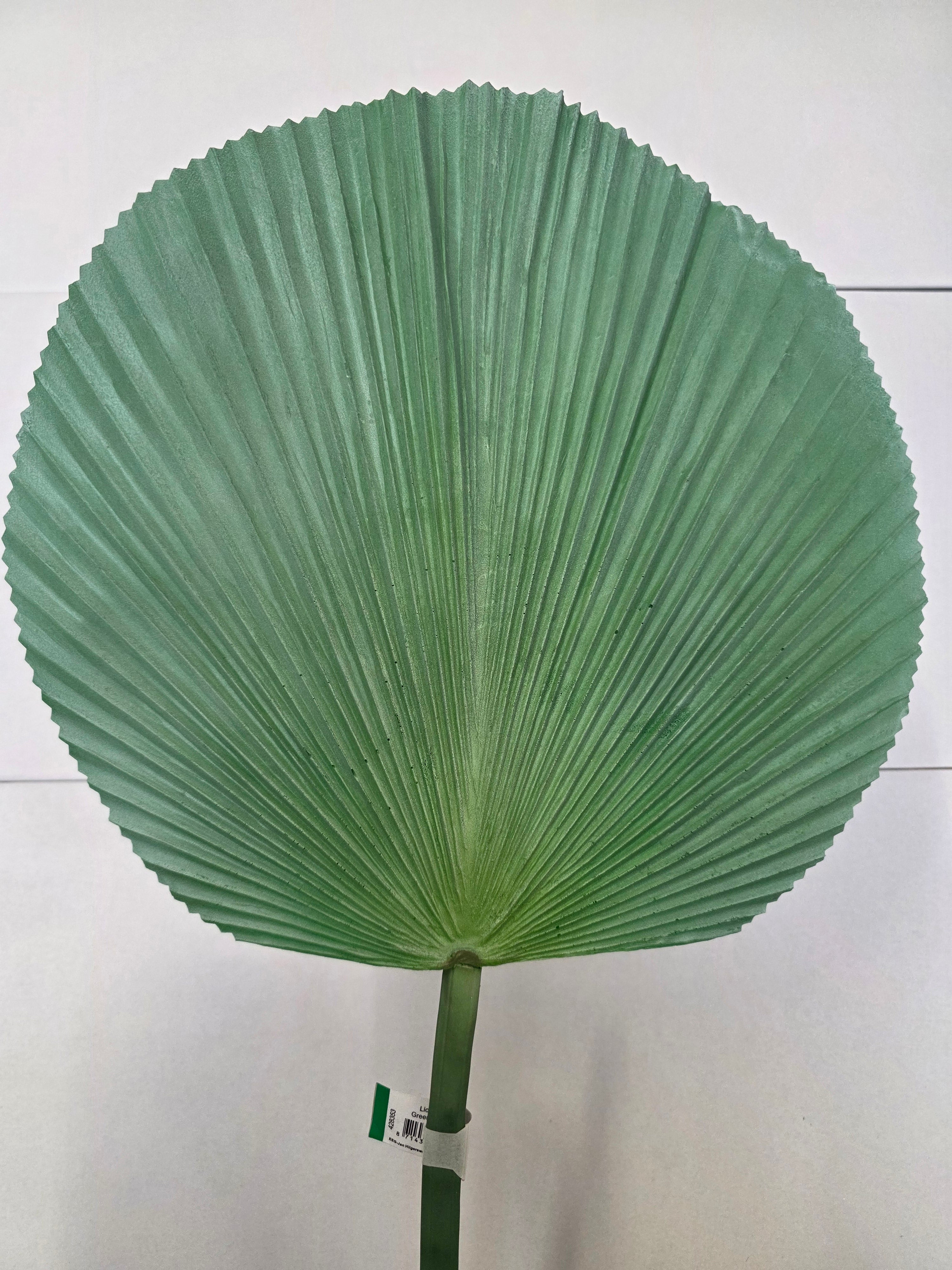 Artificial Licuala Palm Green Grey