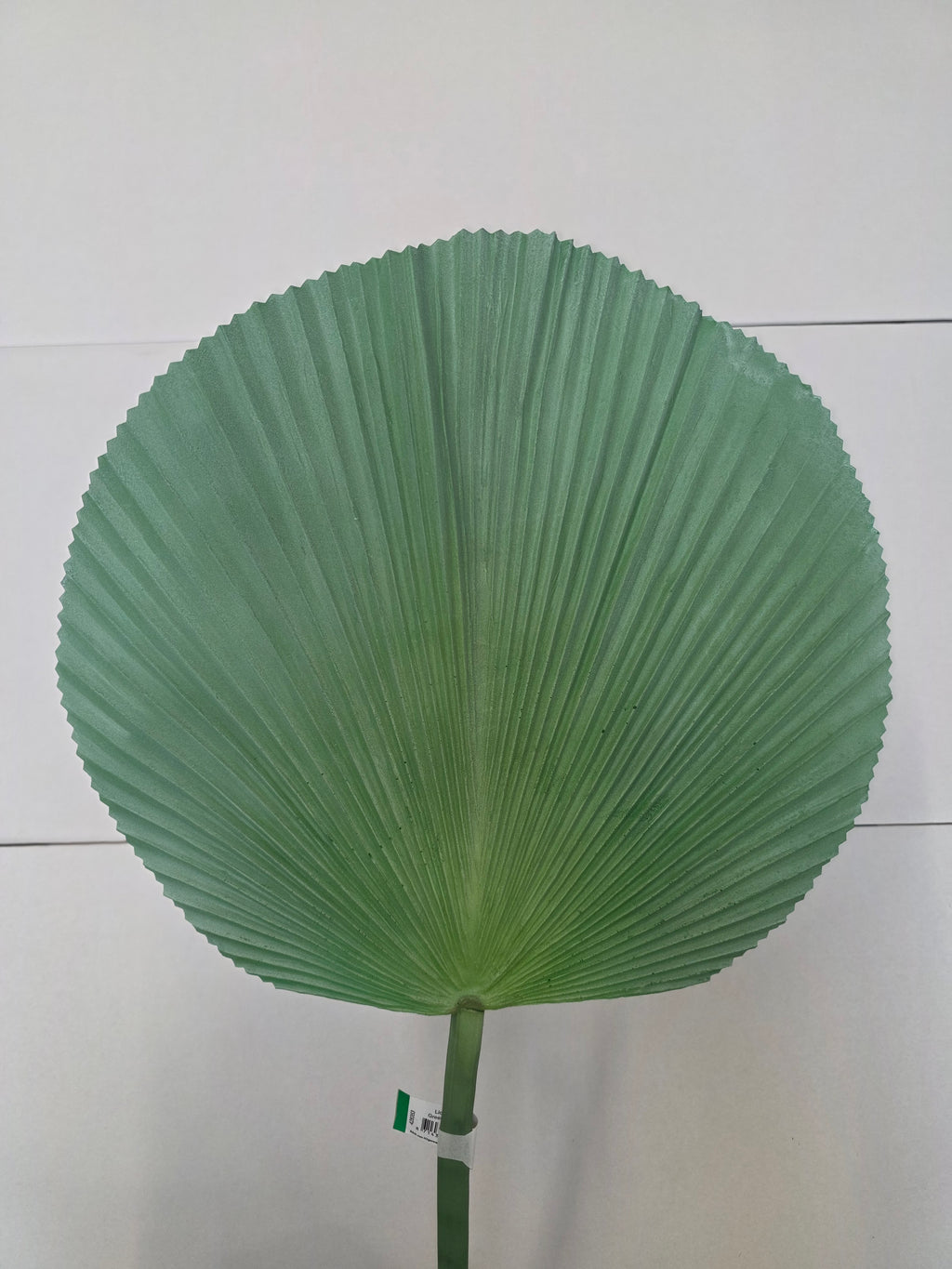 Artificial Licuala Palm Green Grey
