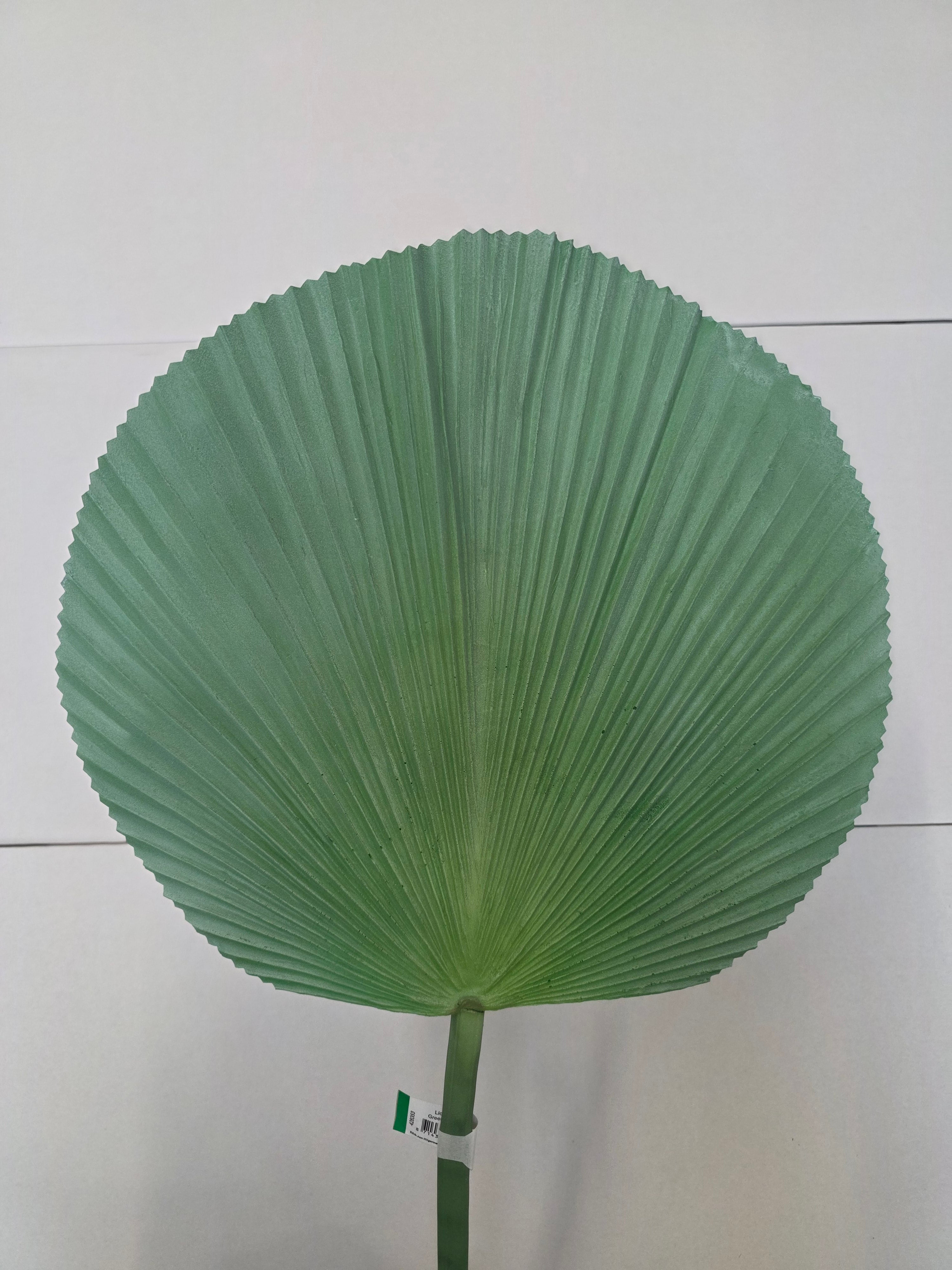 Artificial Licuala Palm Green Grey