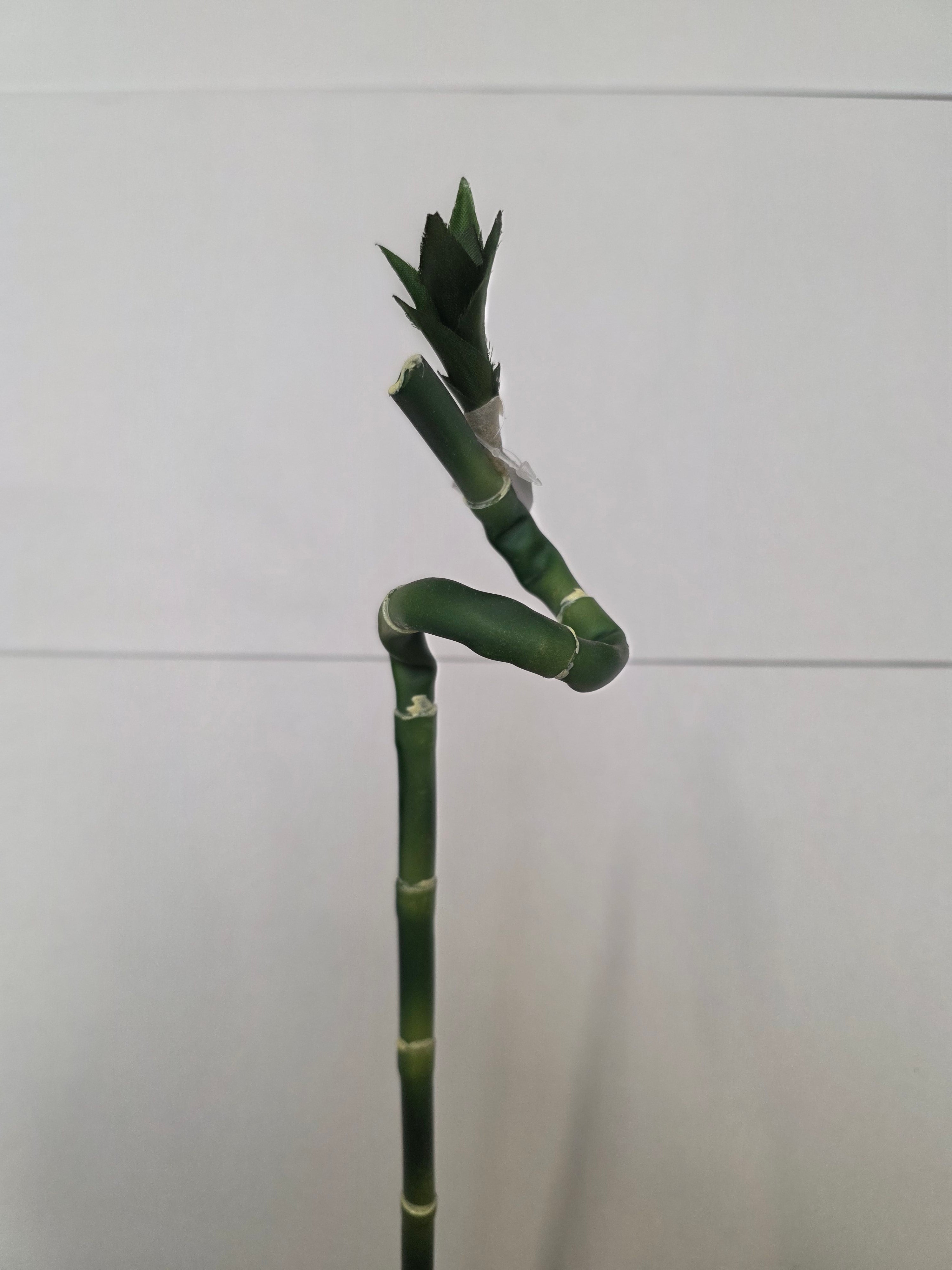Artificial Lucky Bamboo (PACK OF 2)