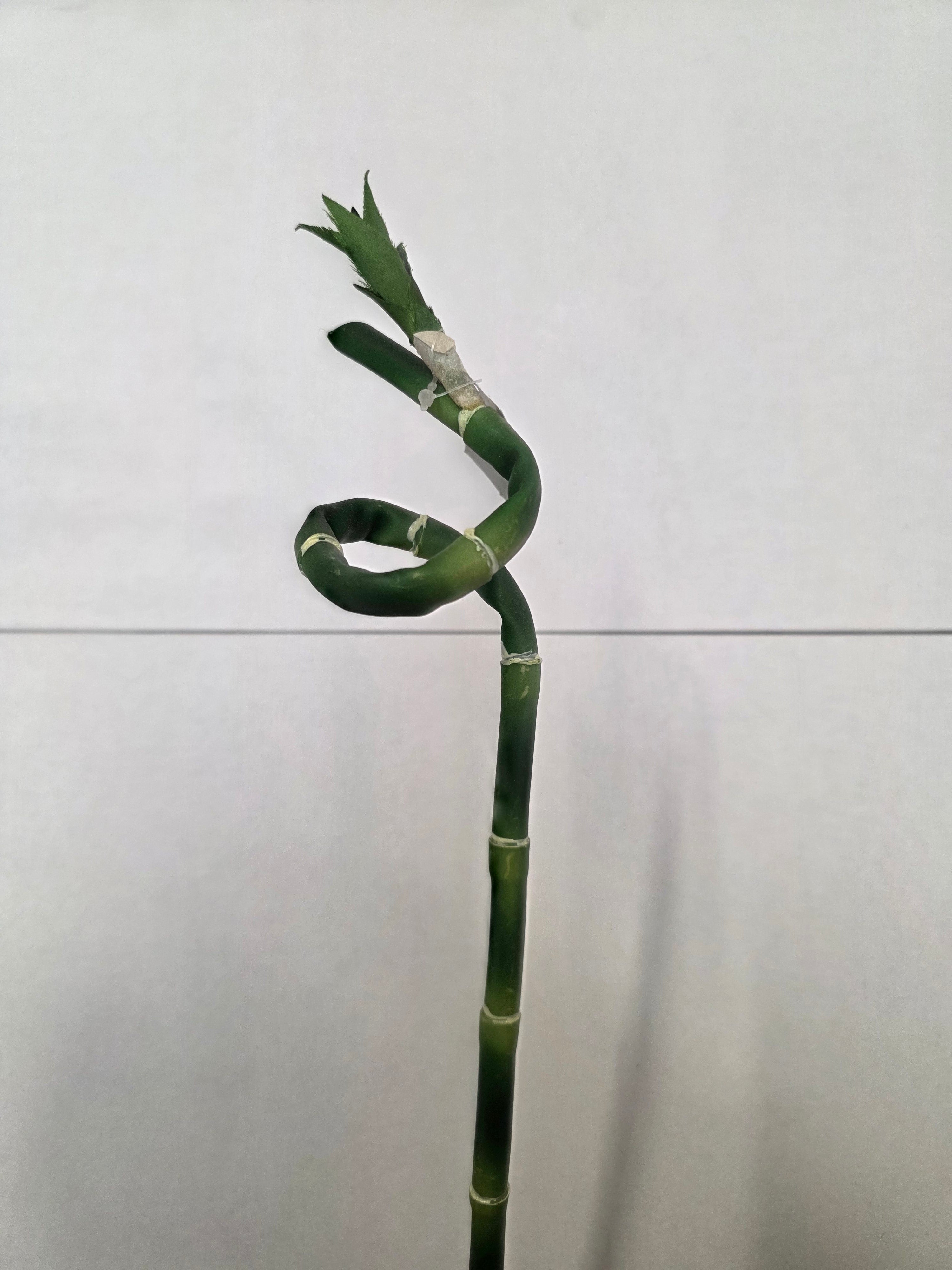 Artificial Lucky Bamboo (PACK OF 2)