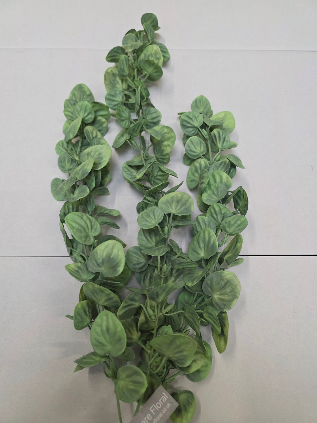 Artificial Money Plant Trail 79cm