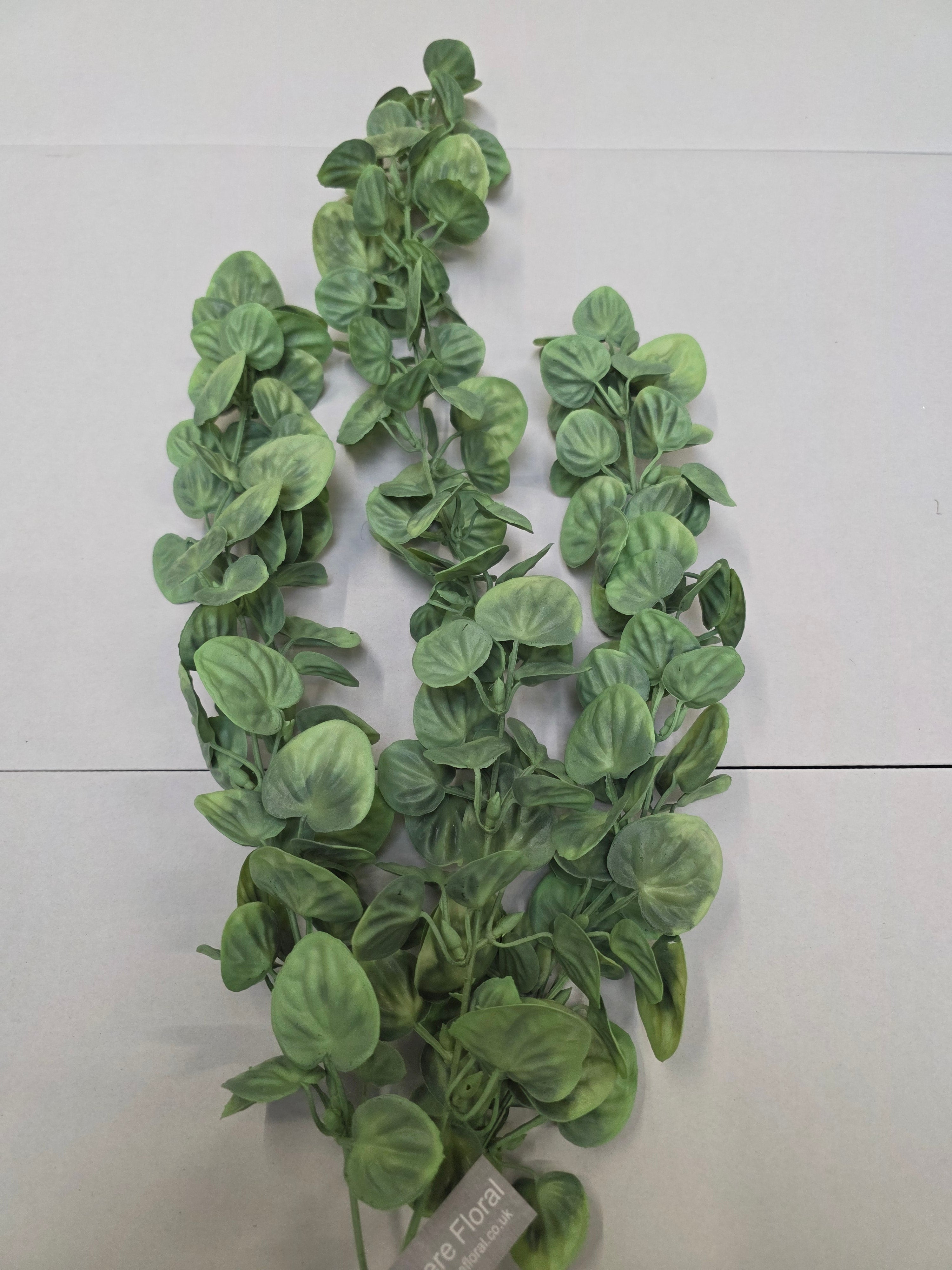 Artificial Money Plant Trail 79cm