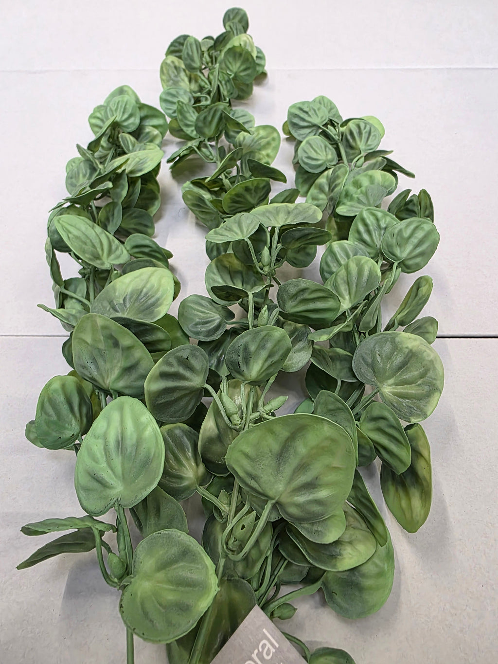 Artificial Money Plant Trail 79cm