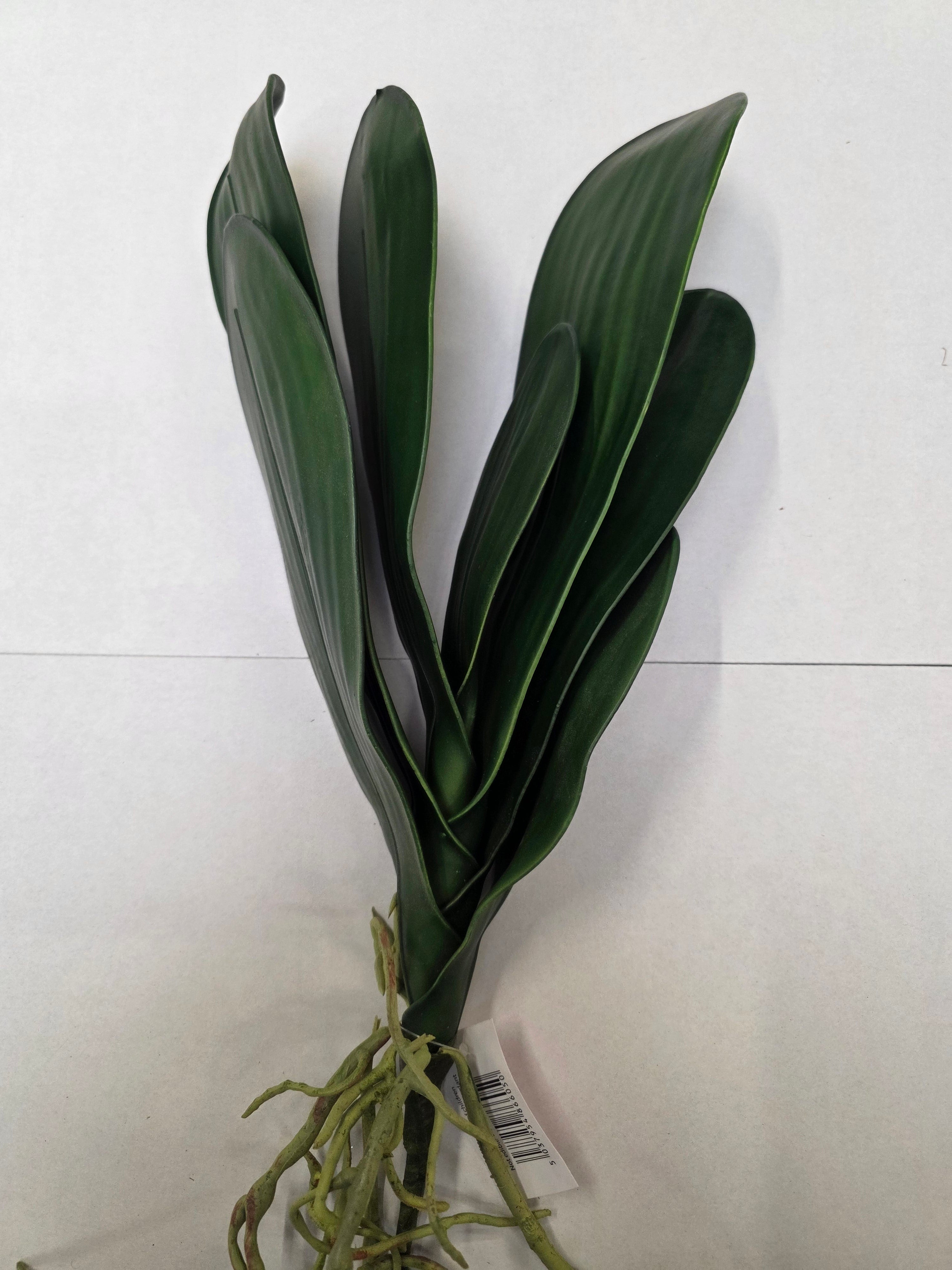 Artificial Orchid Leaves With Root 48cm