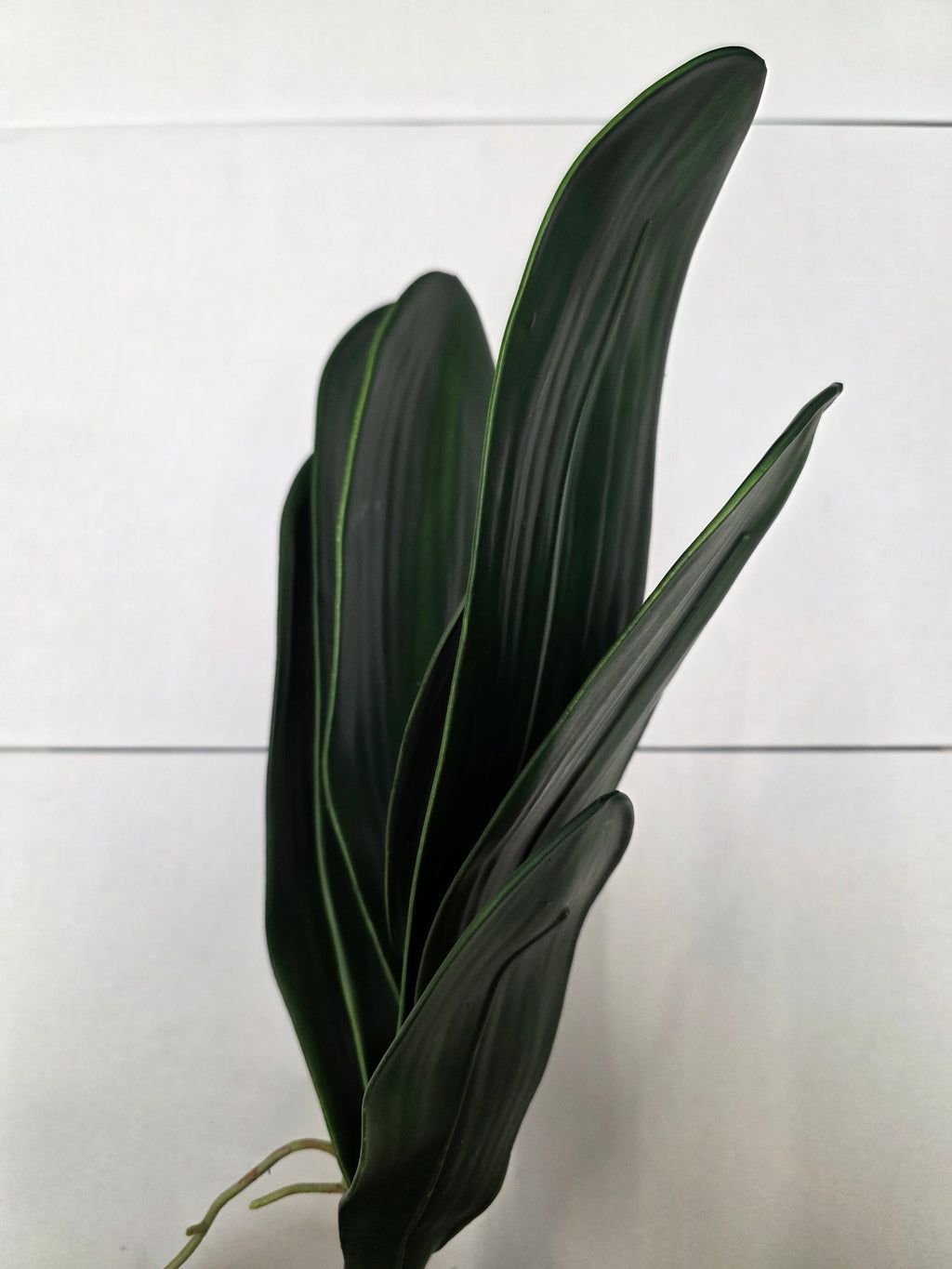 Artificial Orchid Leaves With Root 48cm