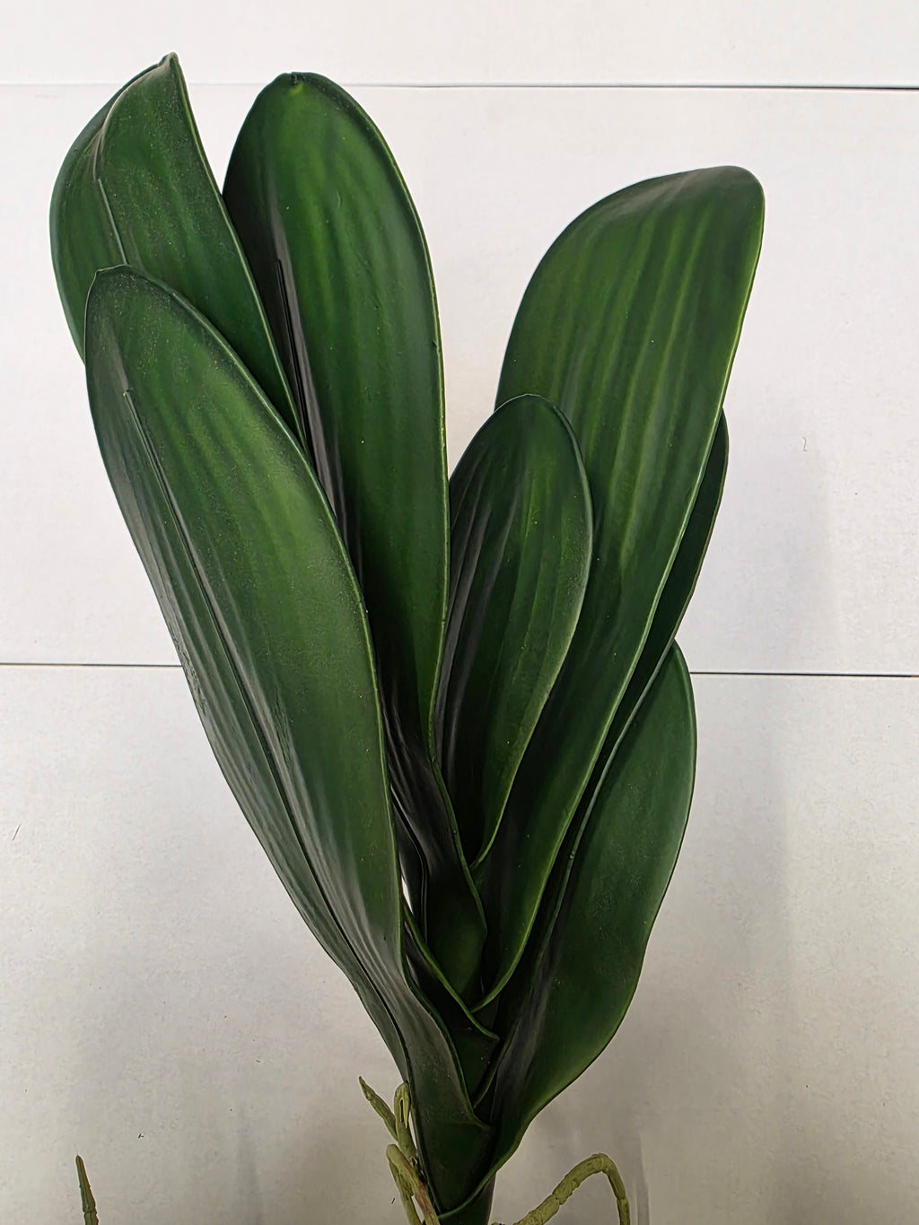 Artificial Orchid Leaves With Root 48cm