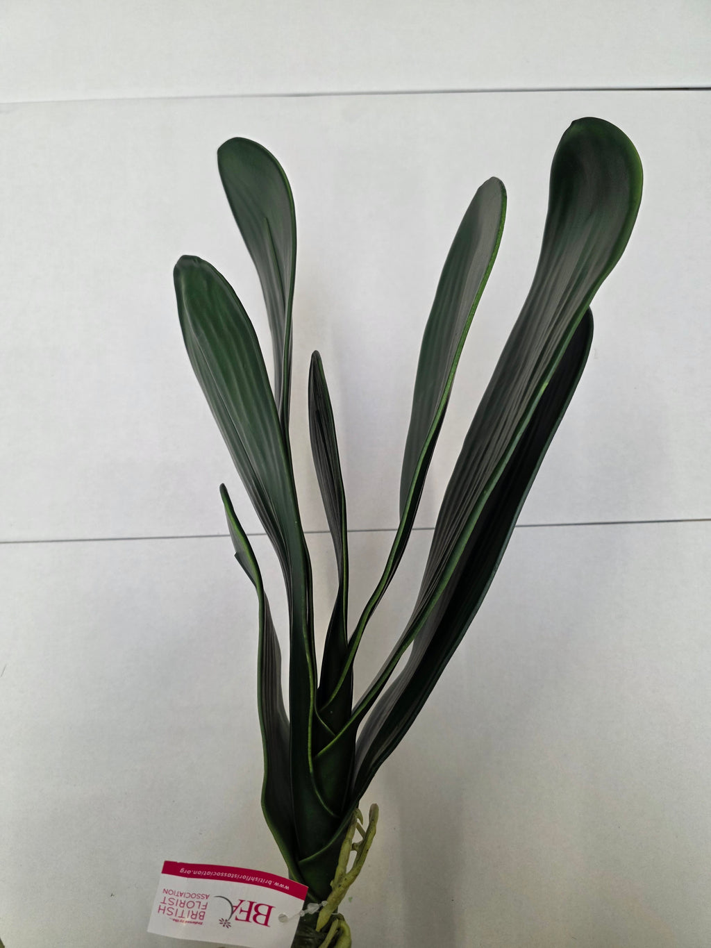 Artificial Orchid Leaves With Root 48cm