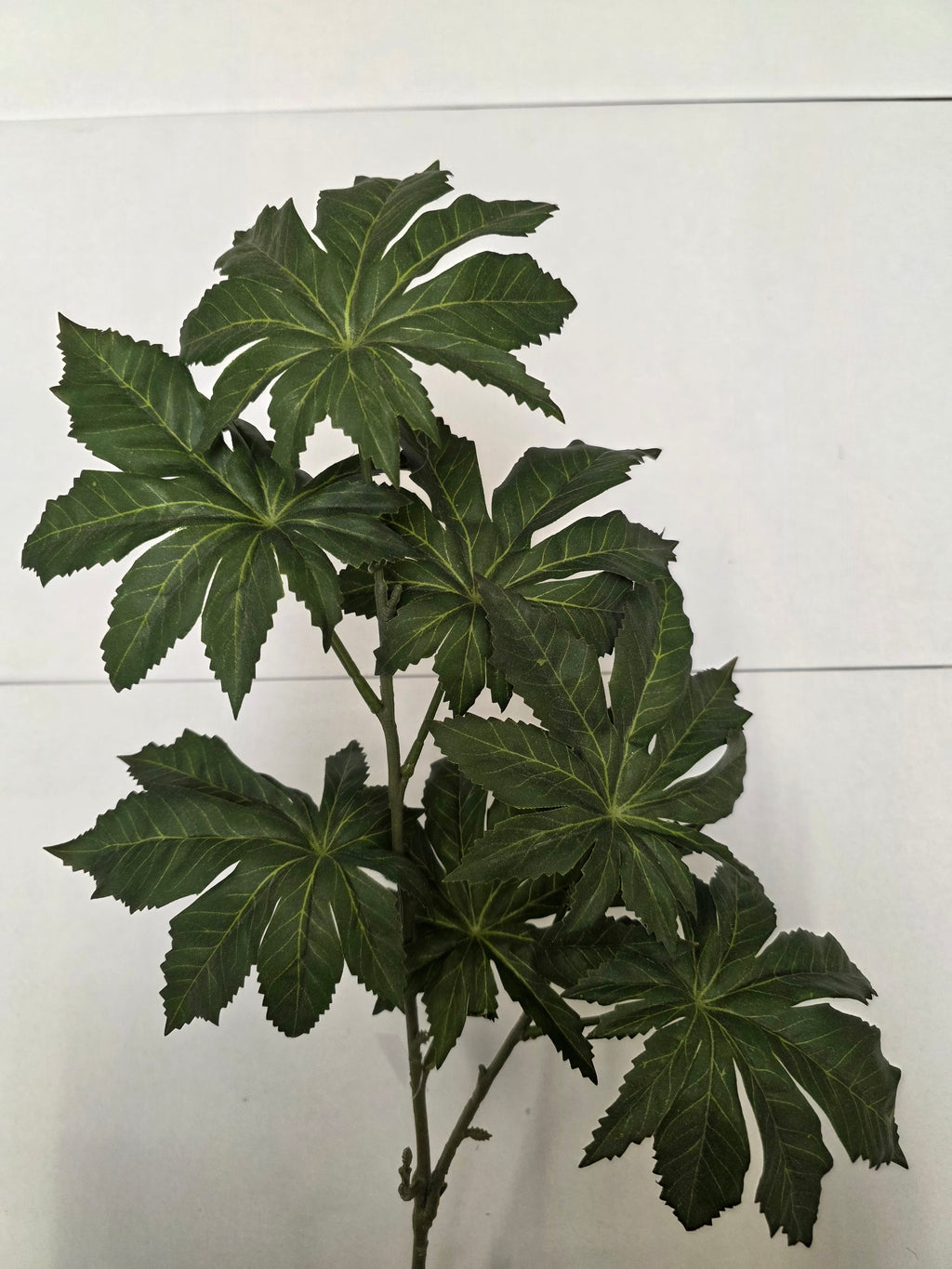 Artificial Papaya Leaf
