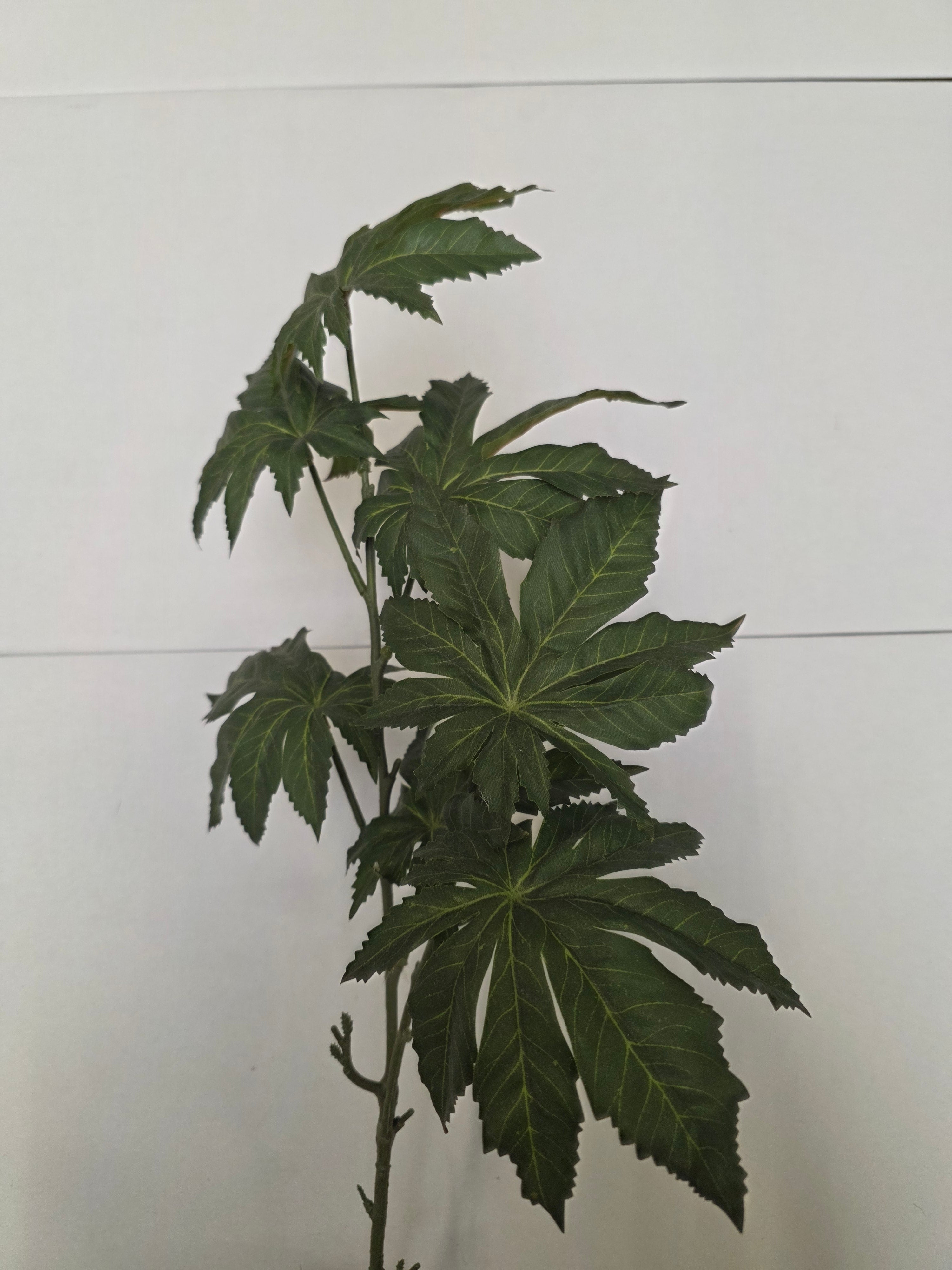 Artificial Papaya Leaf