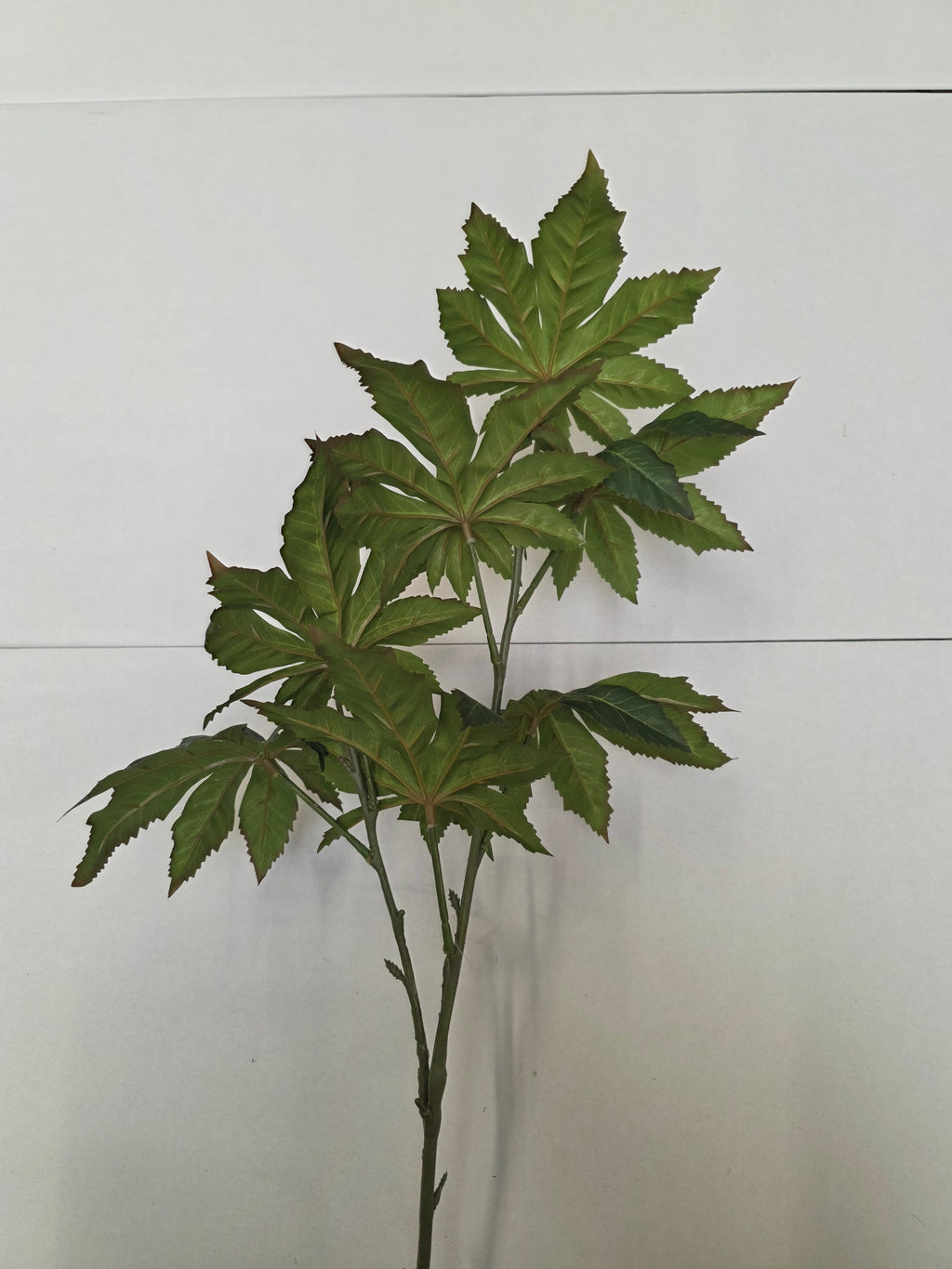Artificial Papaya Leaf