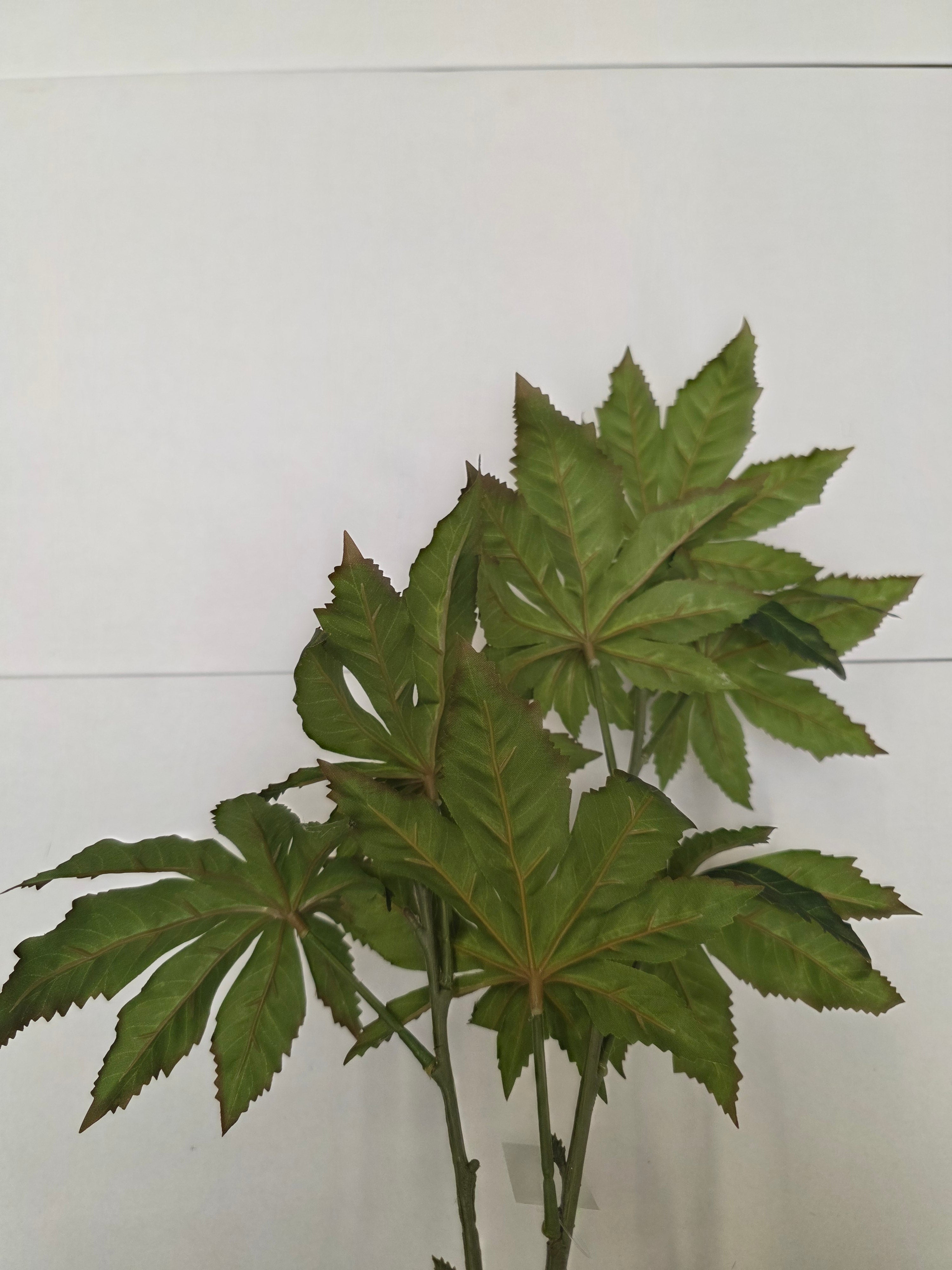 Artificial Papaya Leaf