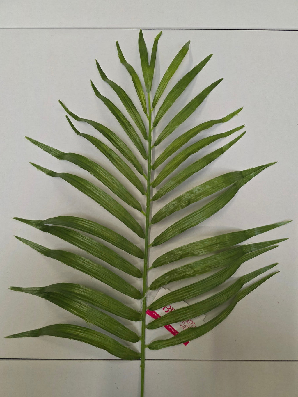 Artificial Parlour Palm 70cm(PACK OF 3)