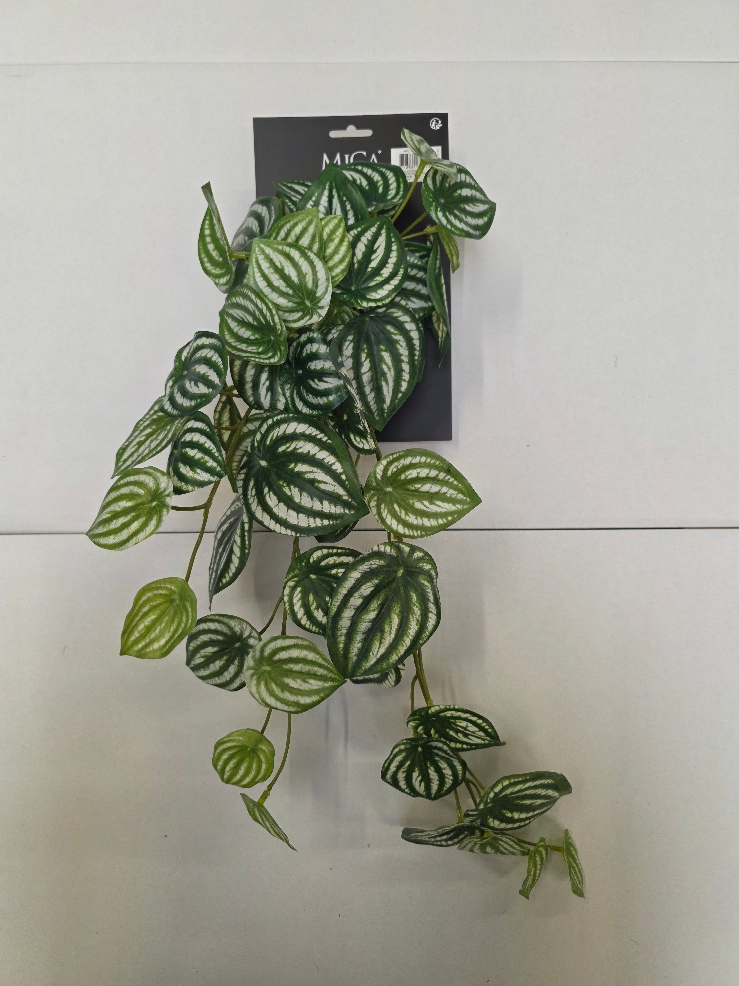 Artificial Peperomia Hanging Green Variegated
