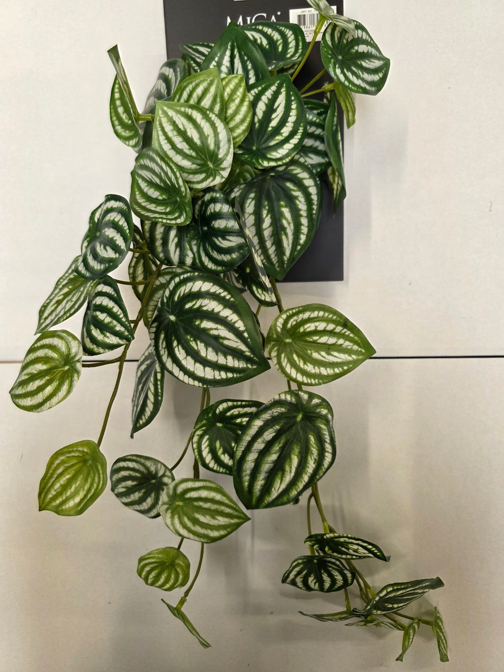 Artificial Peperomia Hanging Green Variegated