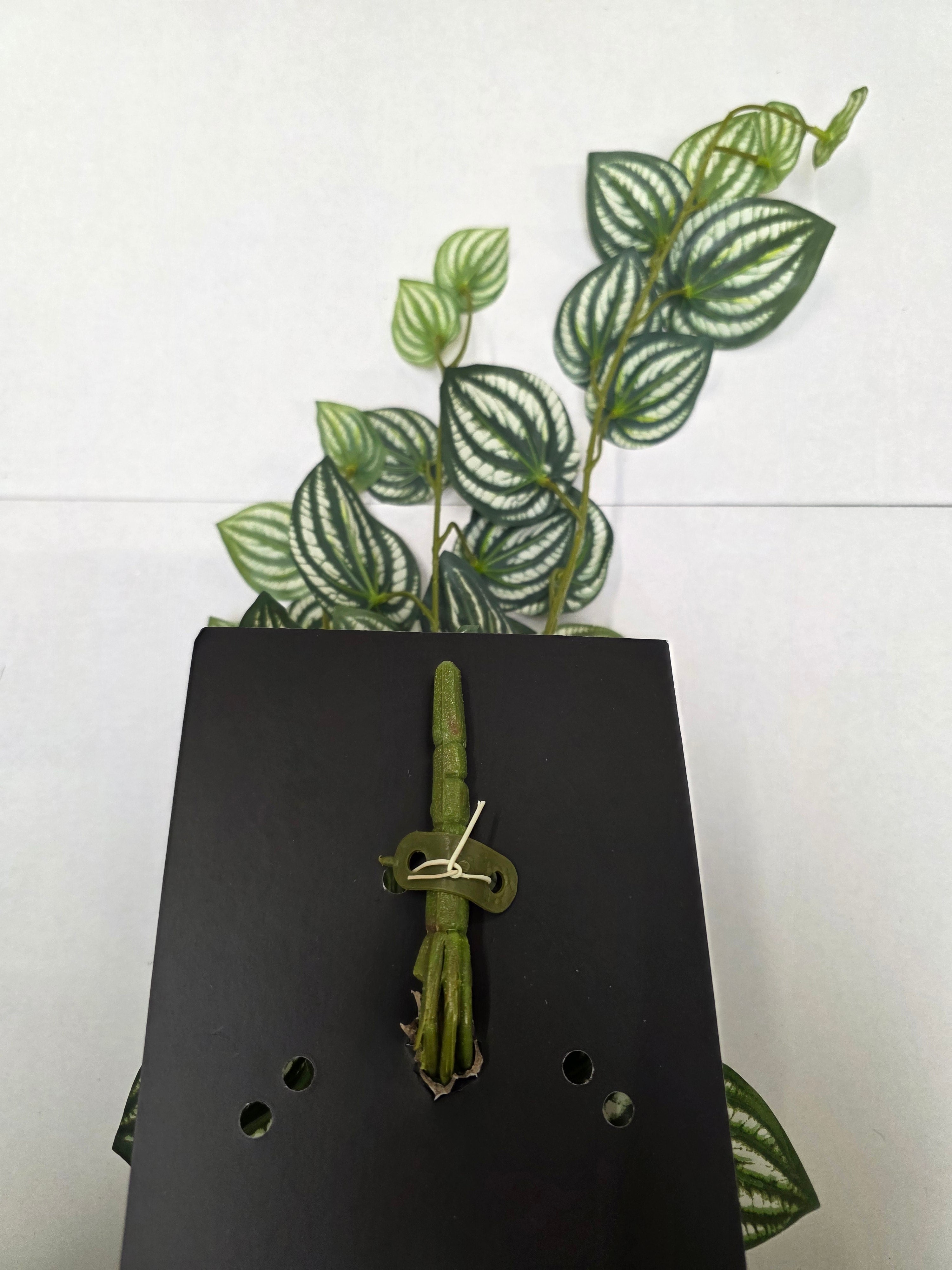 Artificial Peperomia Hanging Green Variegated