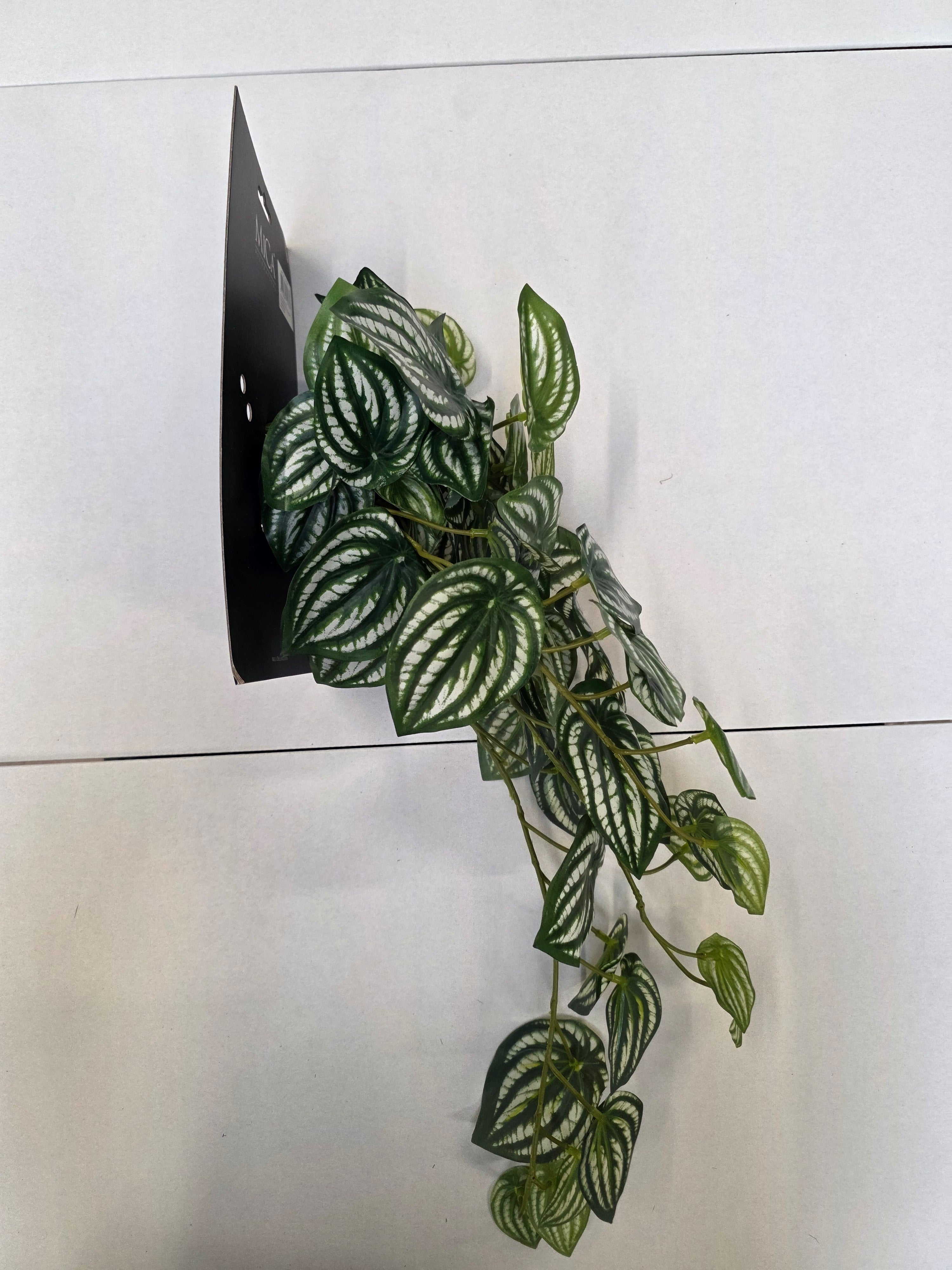 Artificial Peperomia Hanging Green Variegated