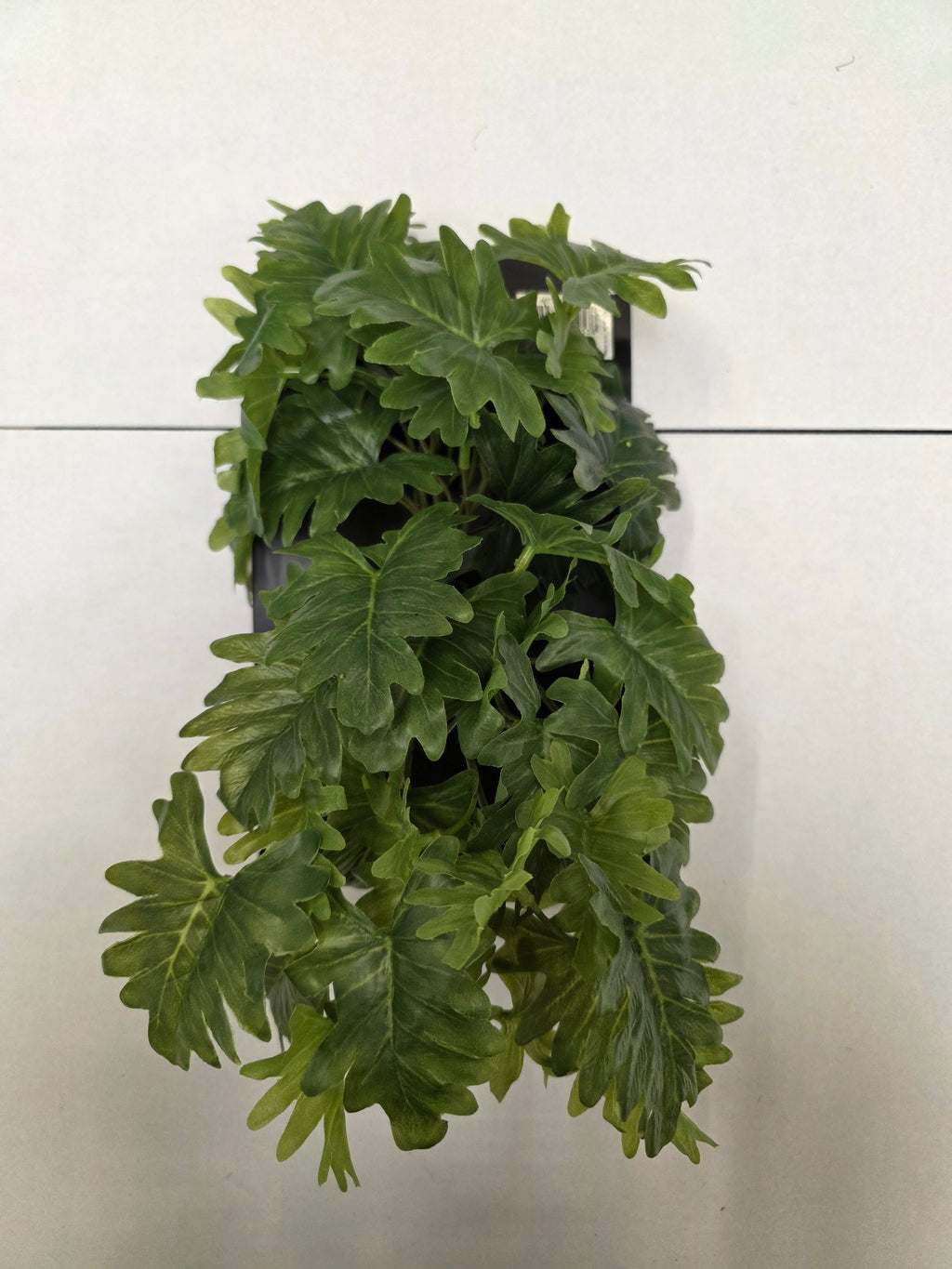 Artificial Phildodendron Selloum Hanging 32cm (PACK OF 2)