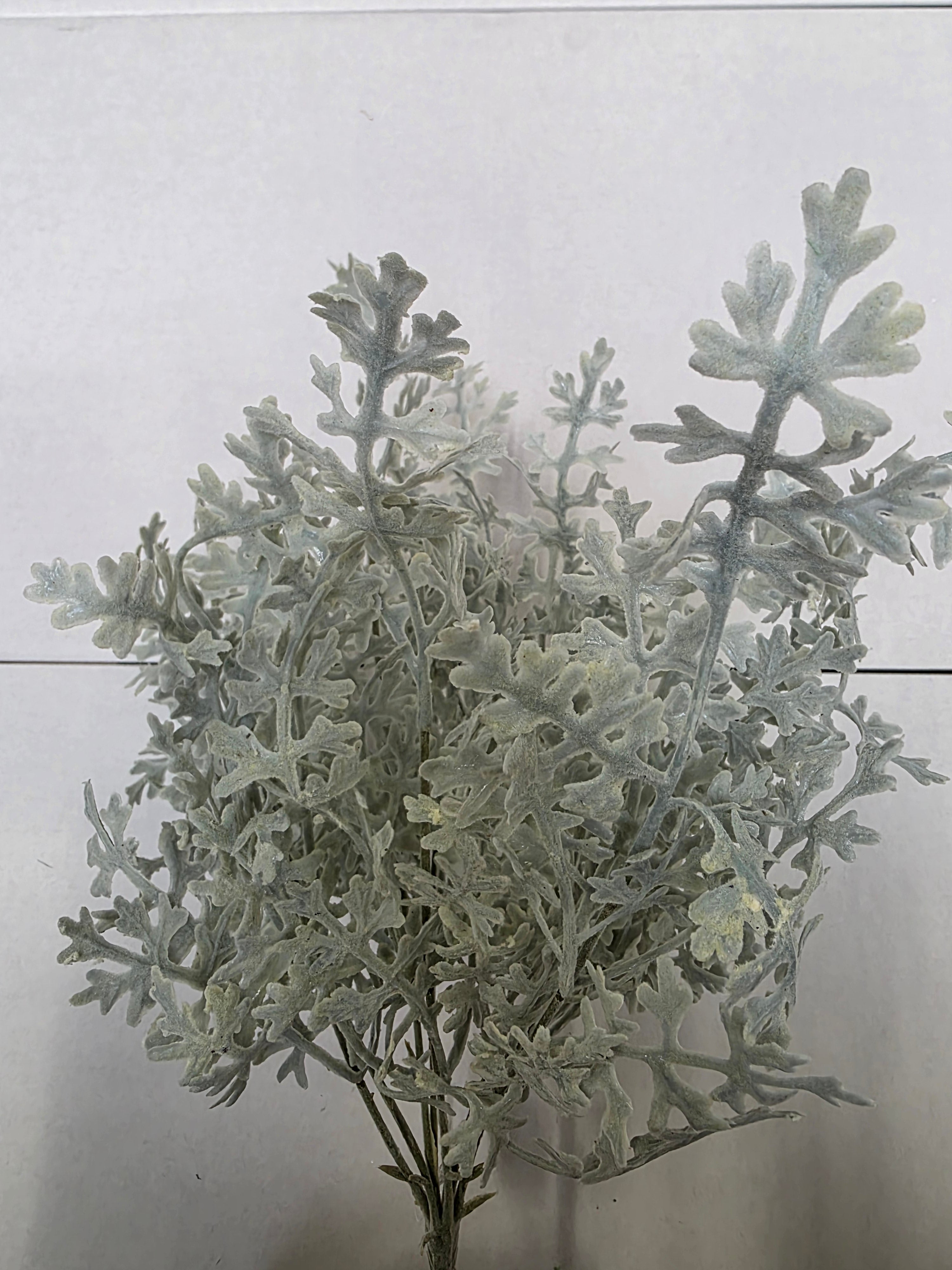 Artificial Senecio Bush Green Grey (pack of 2)