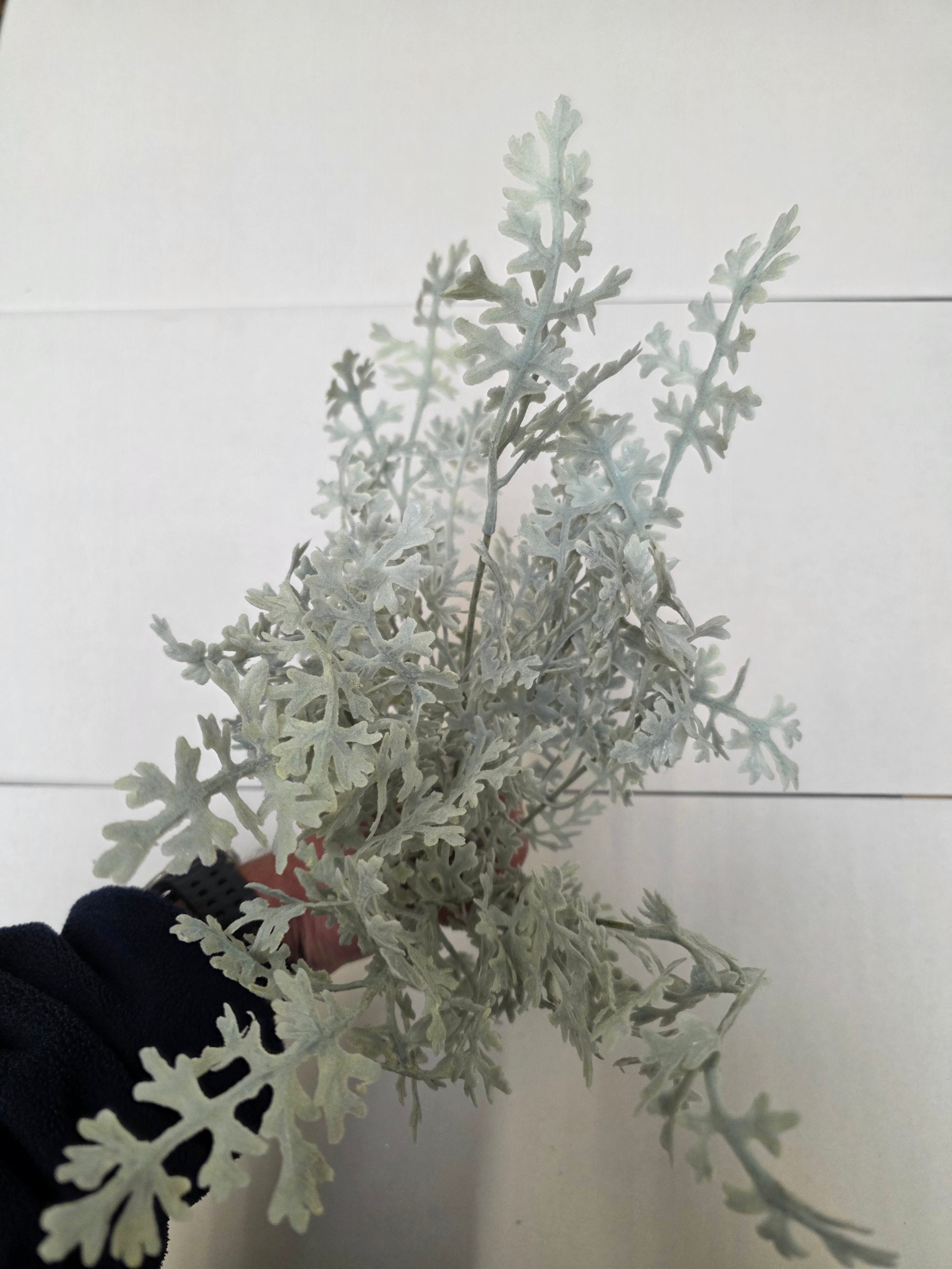 Artificial Senecio Bush Green Grey (pack of 2)