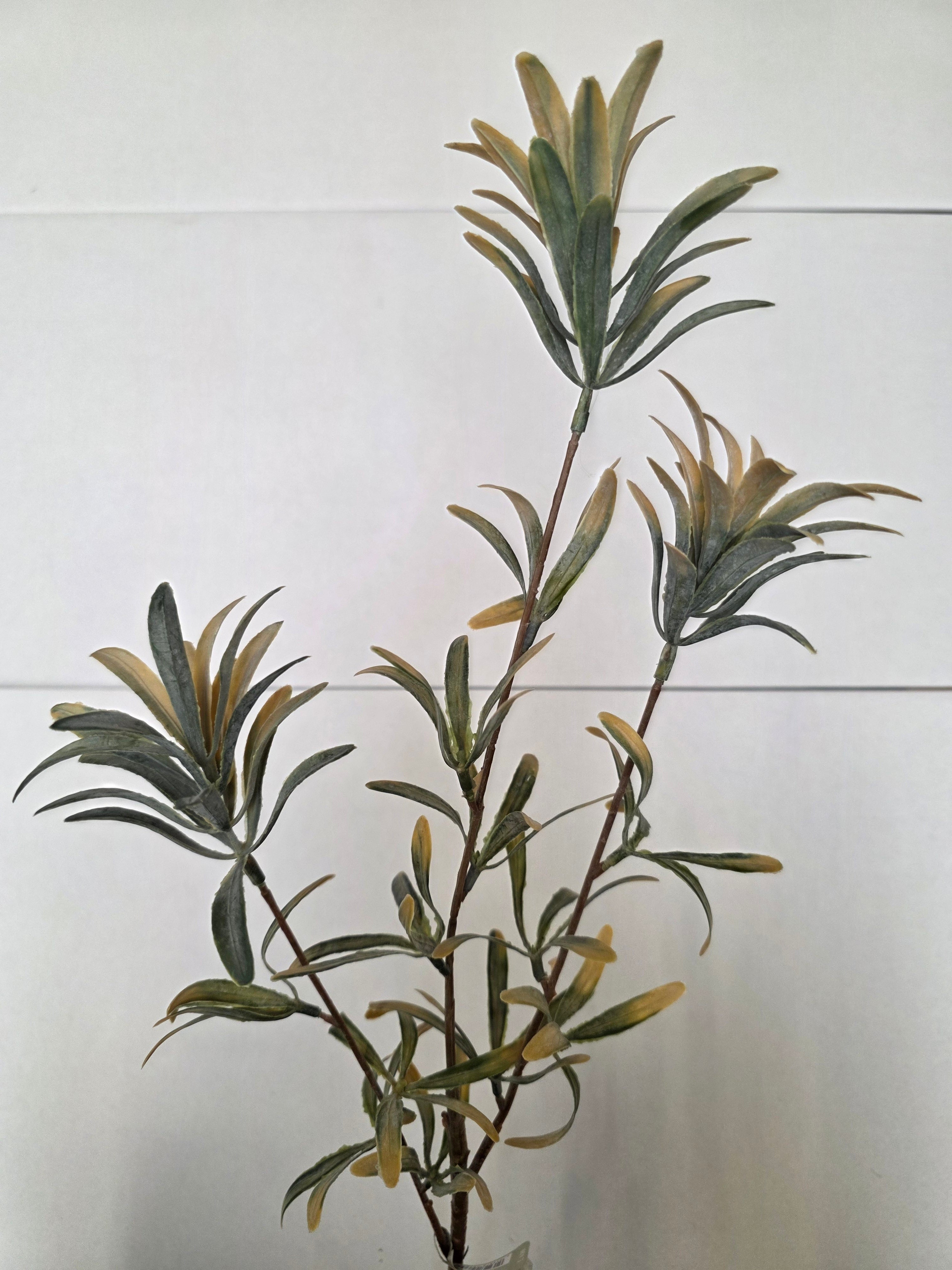 Artificial Stonecrop Spray