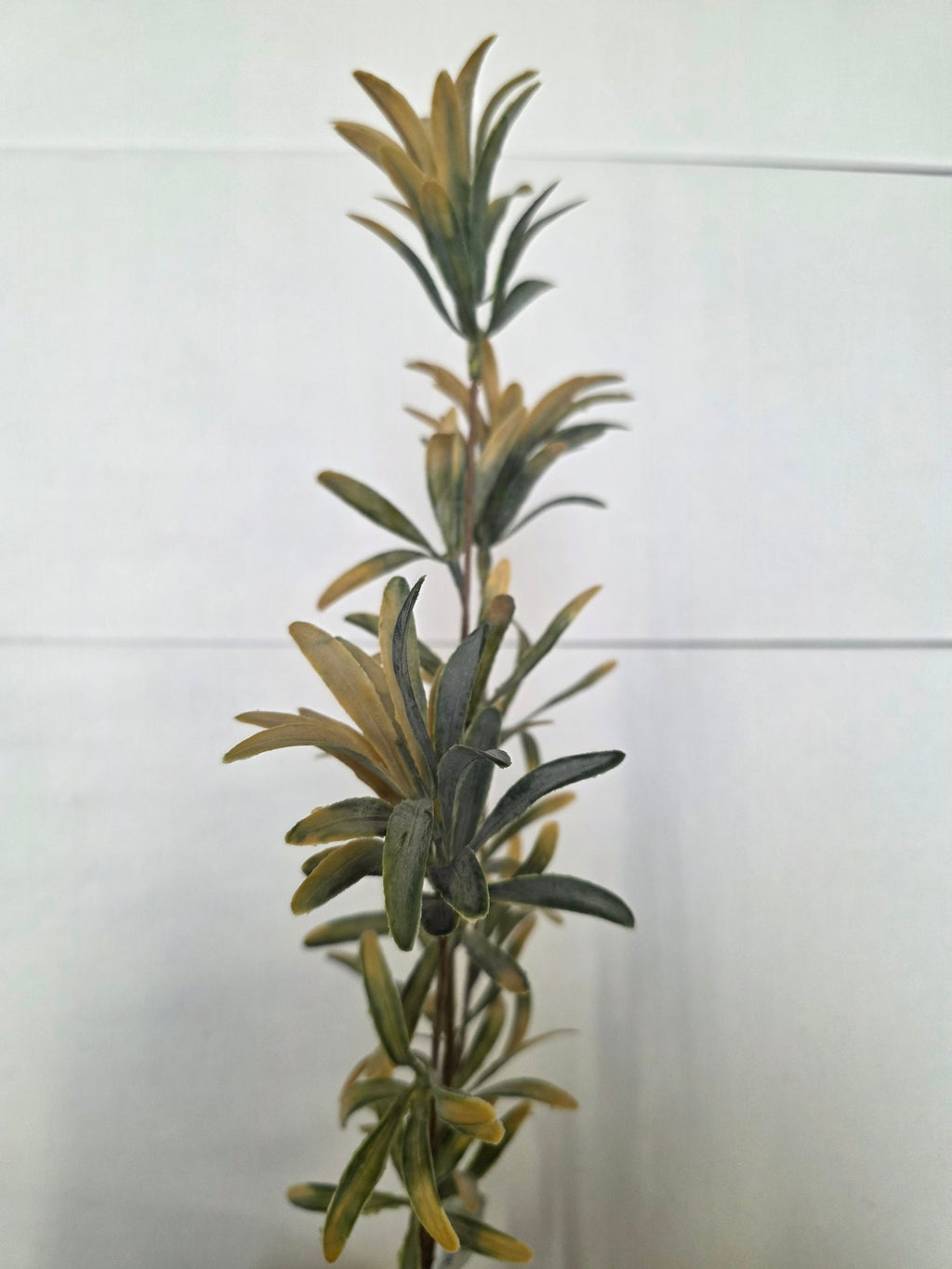 Artificial Stonecrop Spray