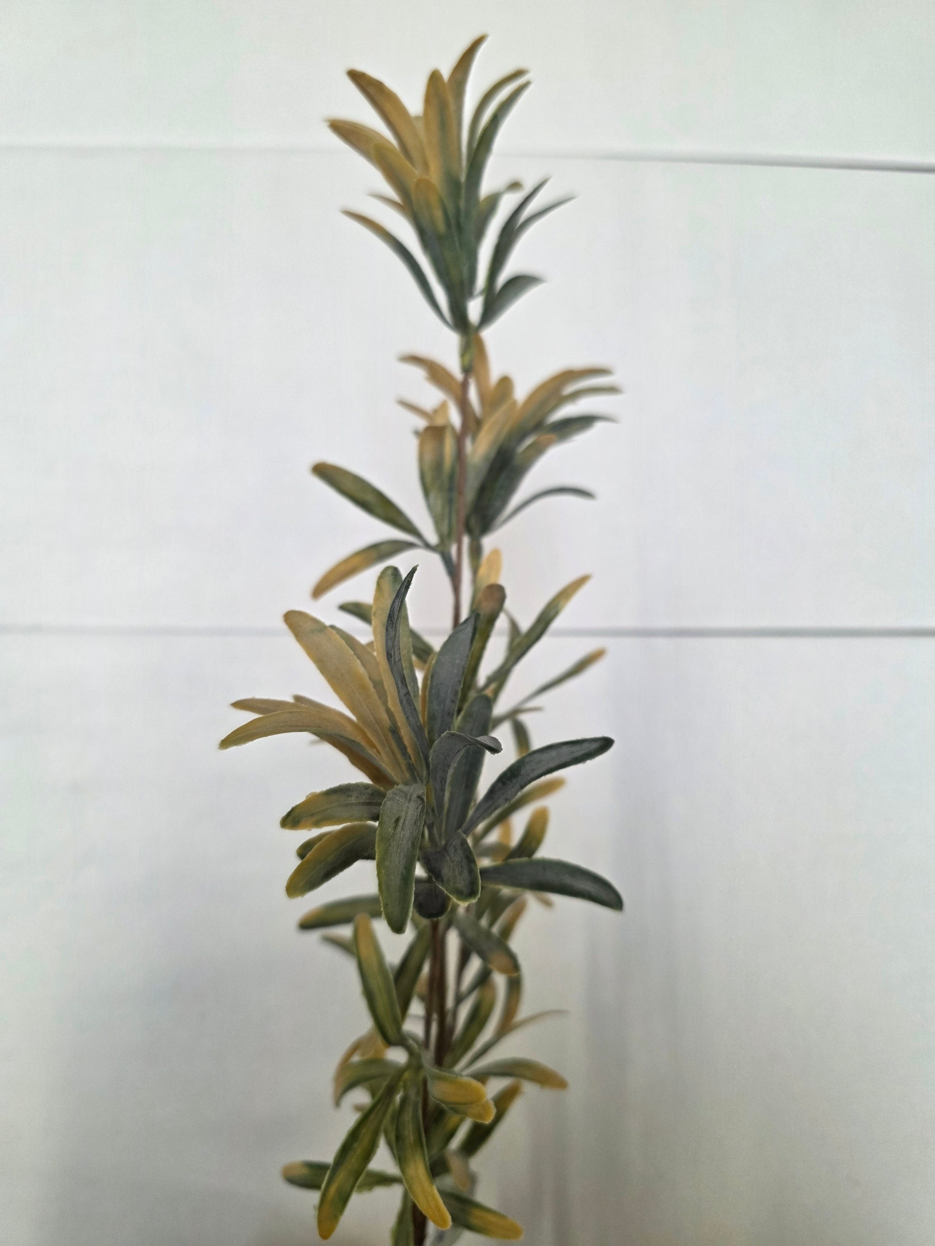 Artificial Stonecrop Spray