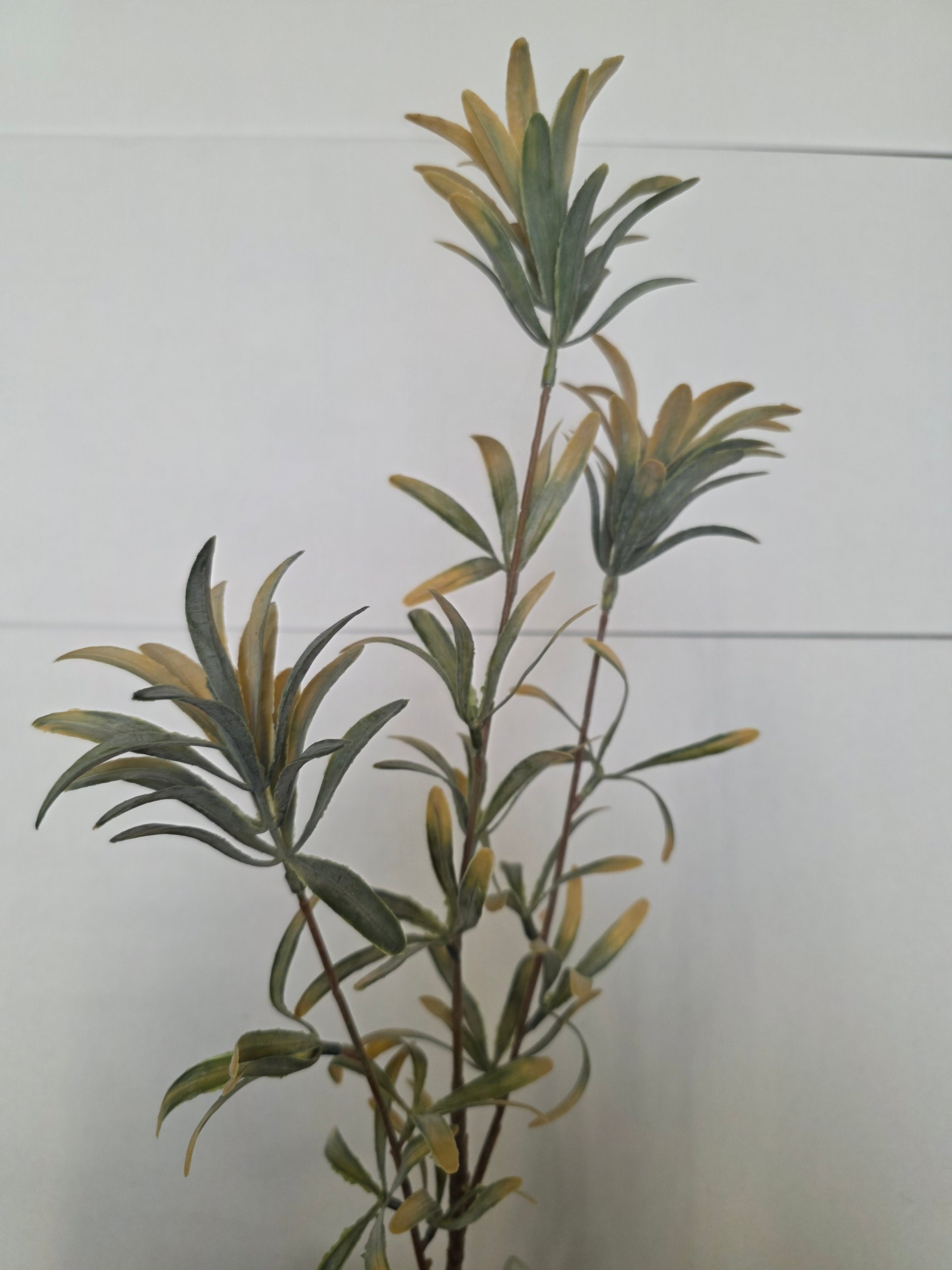 Artificial Stonecrop Spray