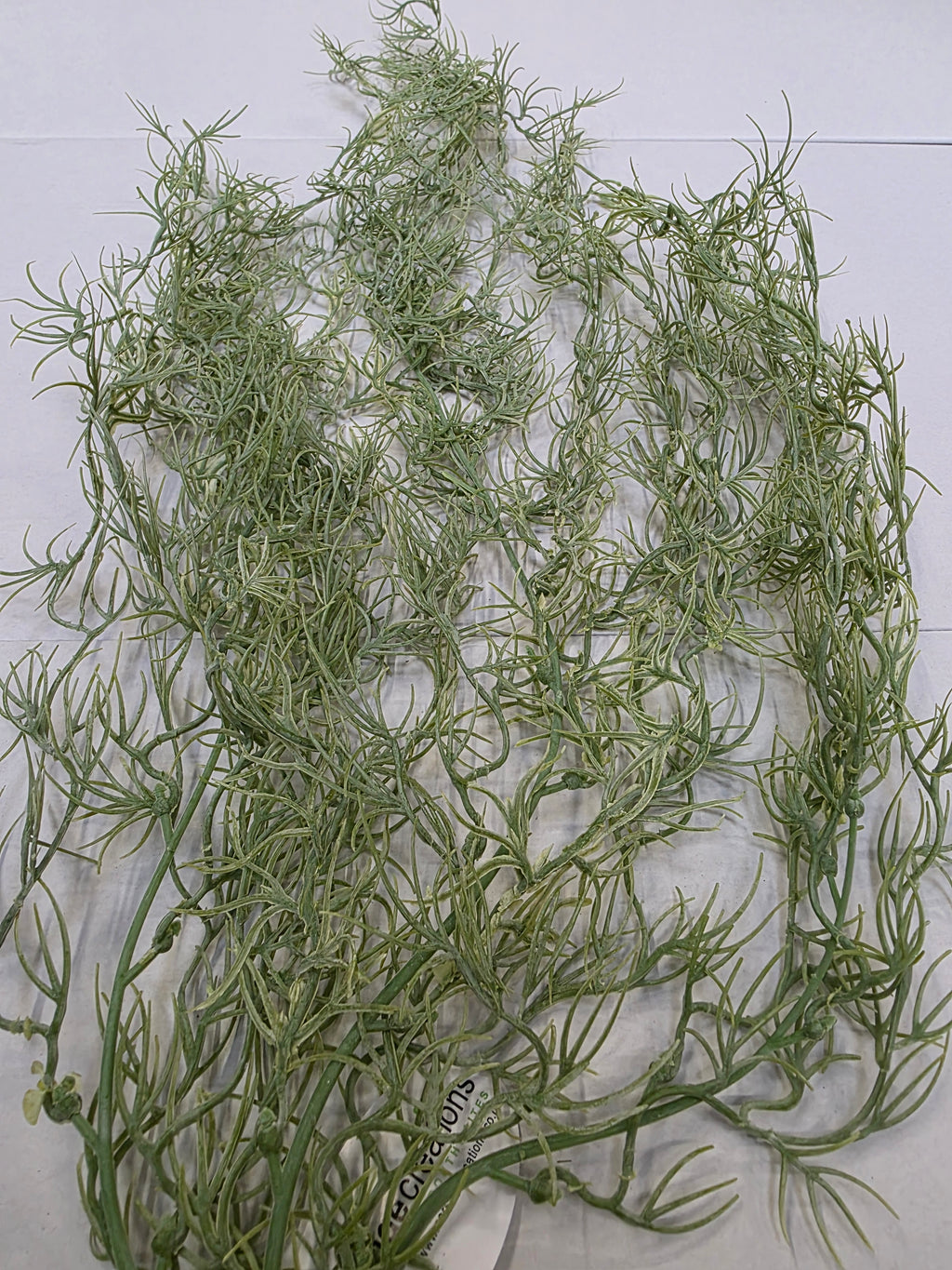 Artificial Tillandsia Green (PACK OF 2)